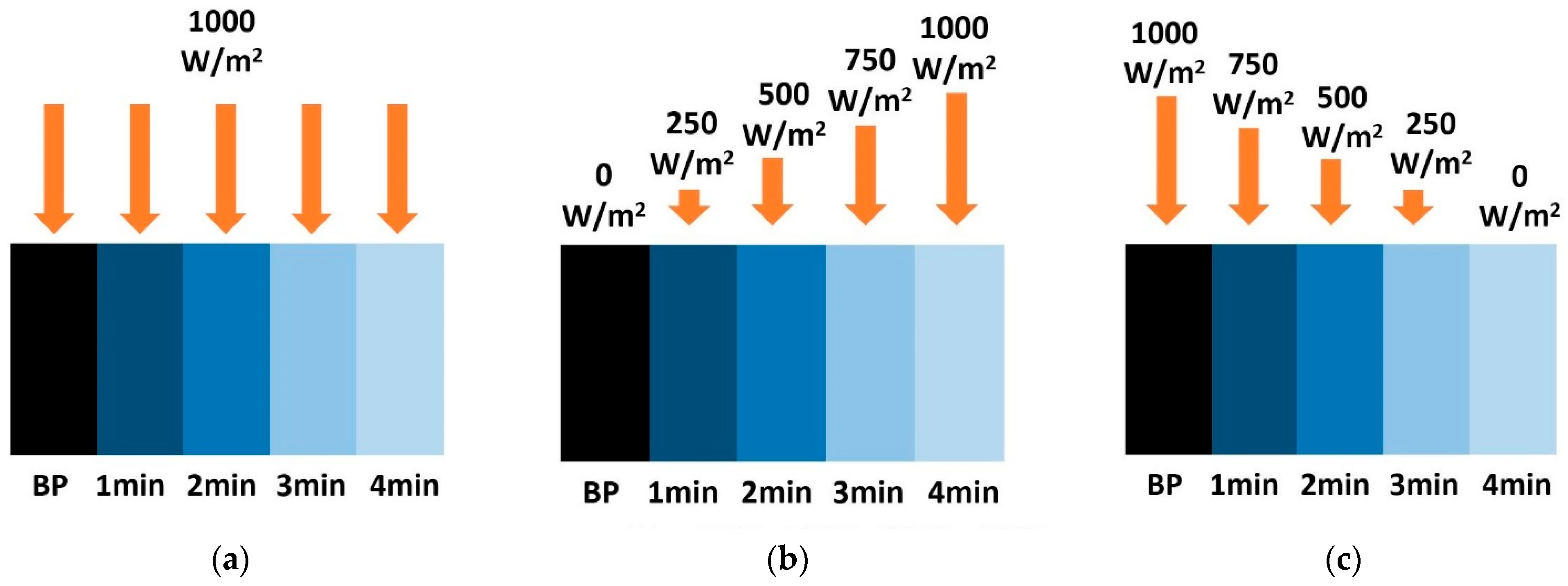 Processes 12 01449 g002