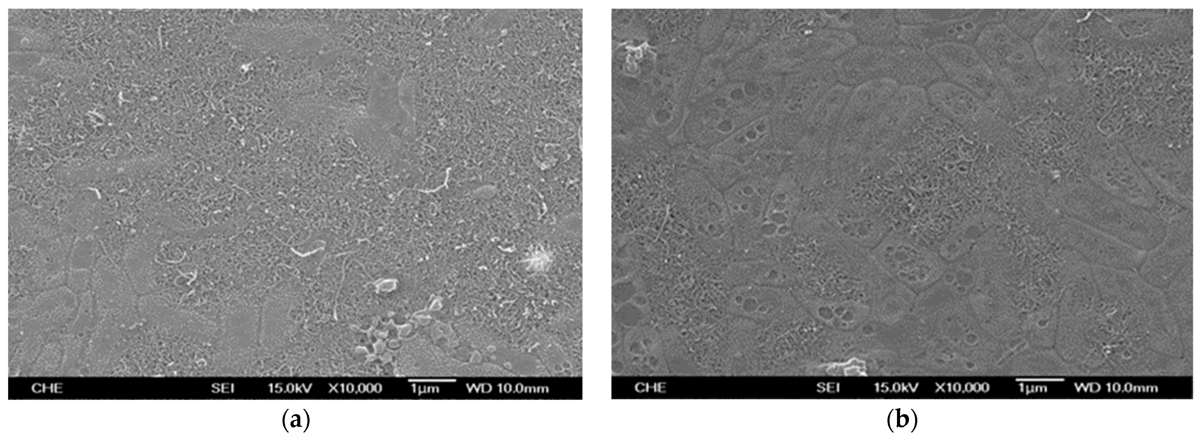 Processes 12 01449 g008