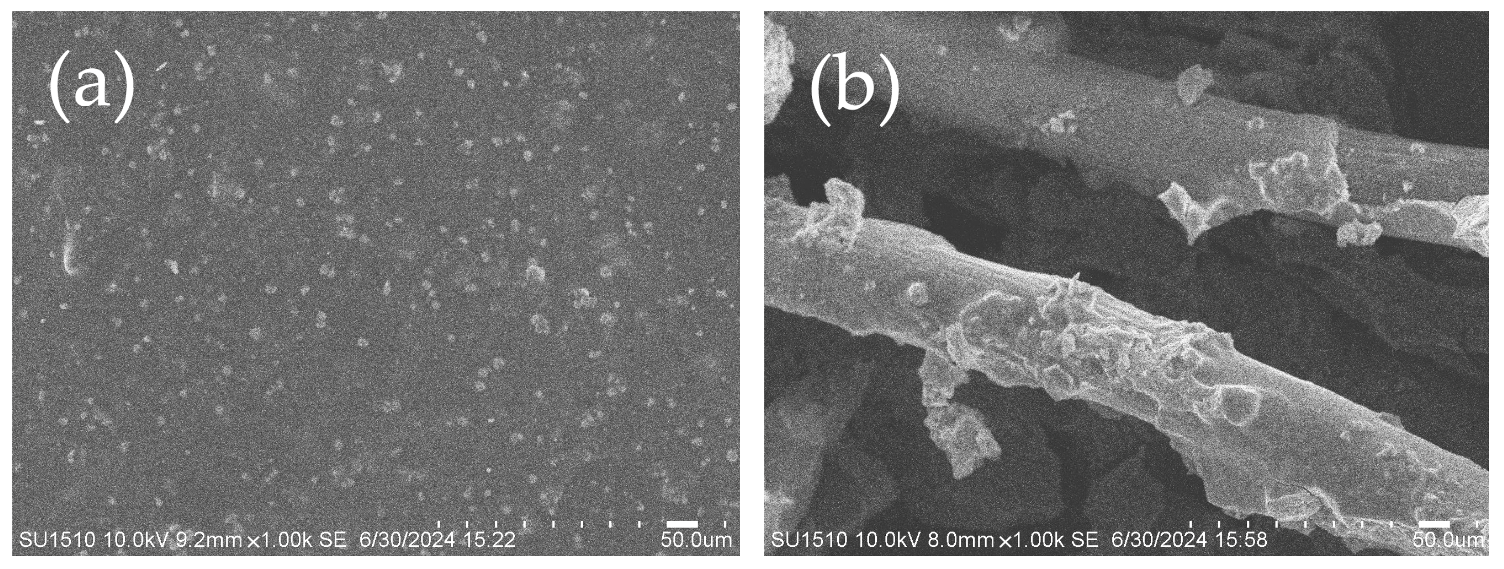 Processes 12 01461 g005
