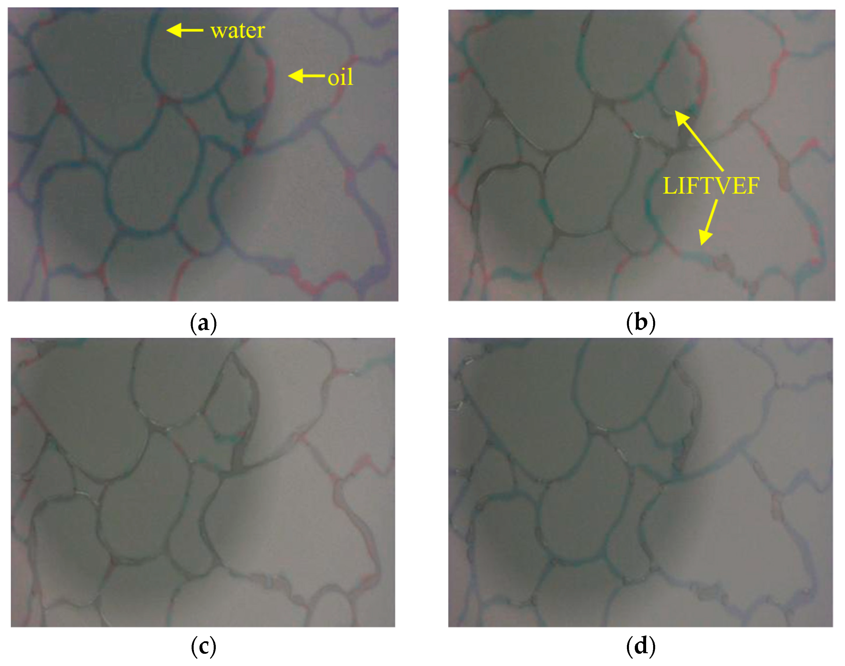 Processes 12 01476 g009