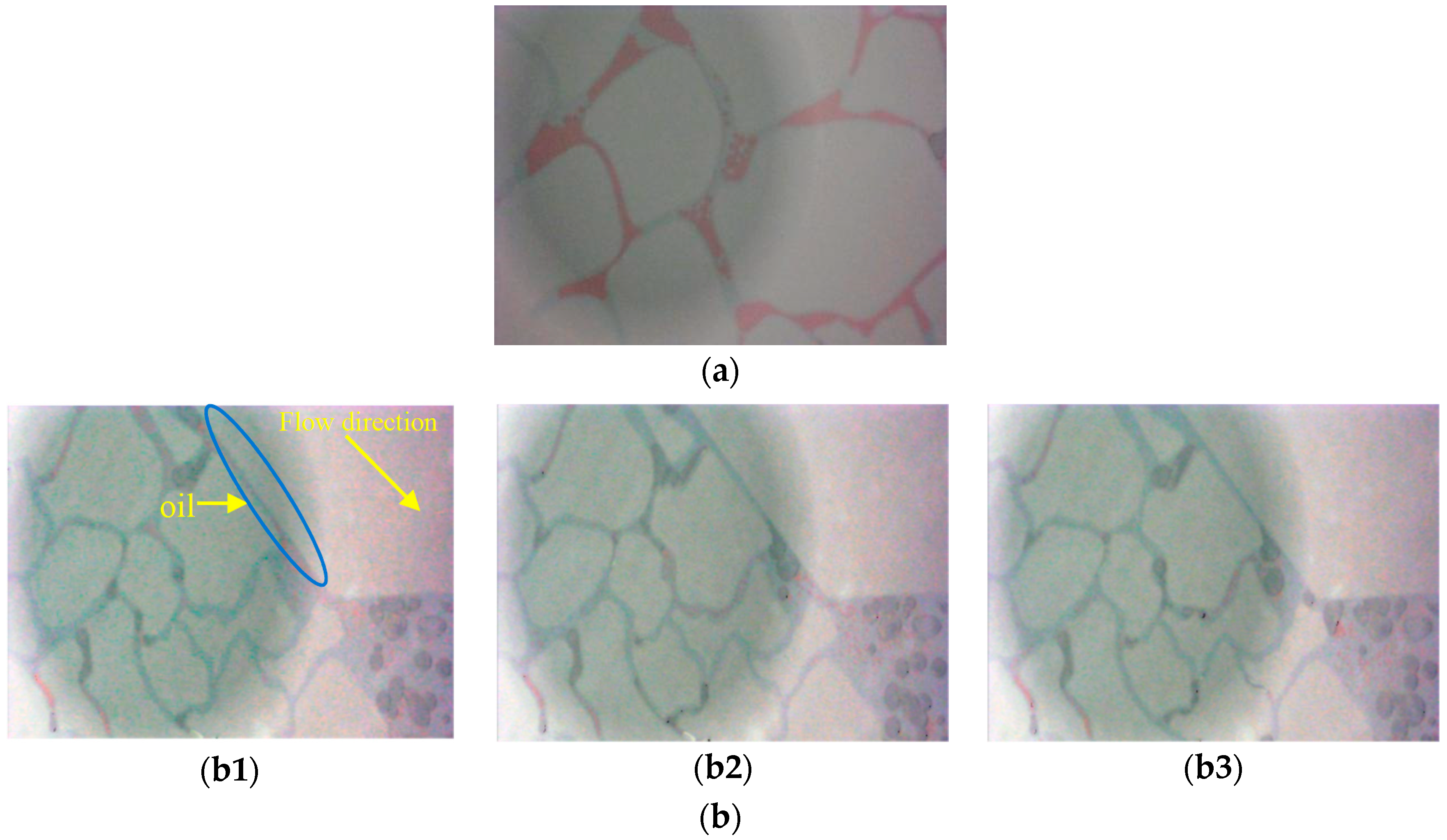 Processes 12 01476 g011