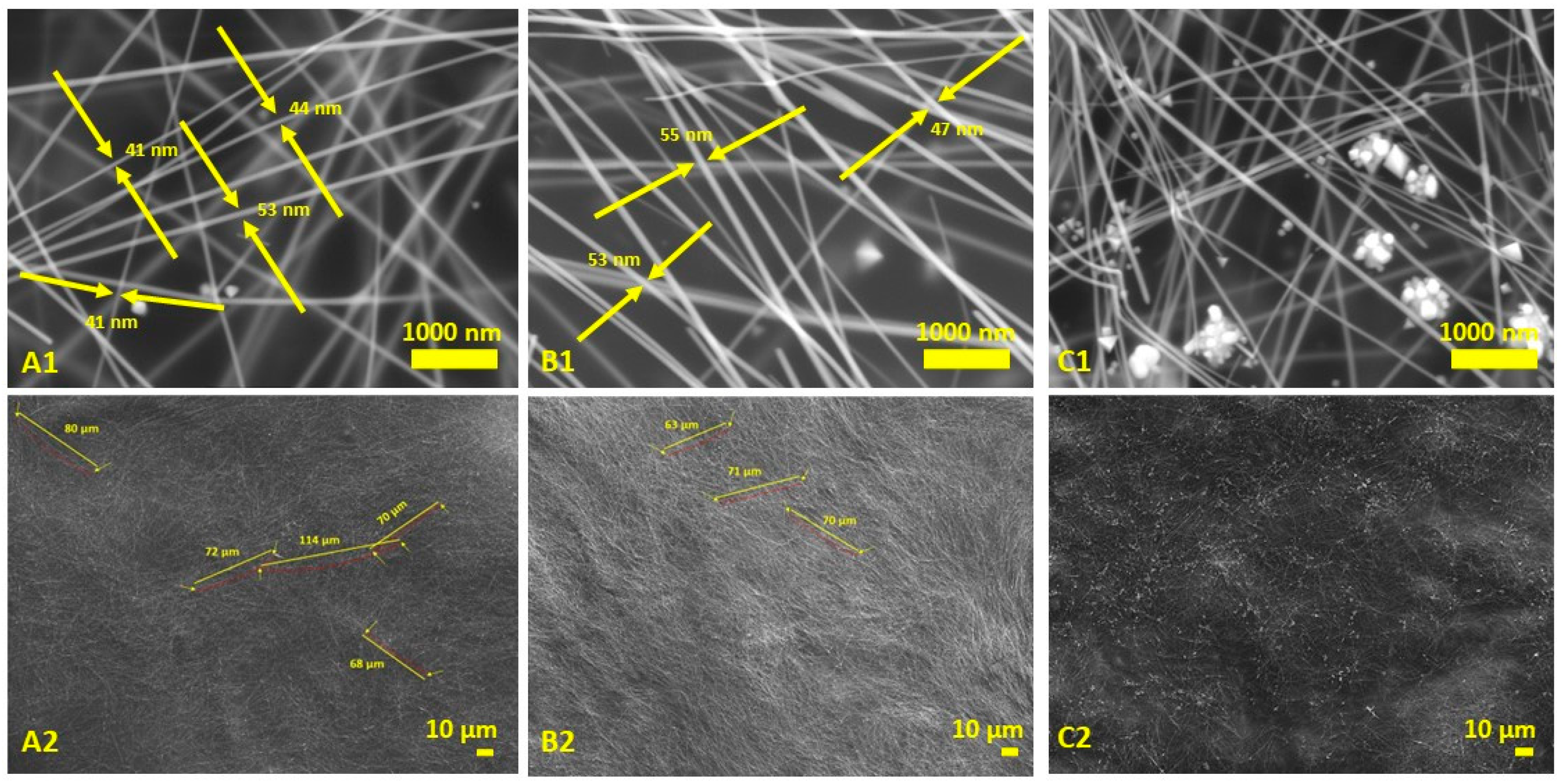 Processes 12 01487 g005