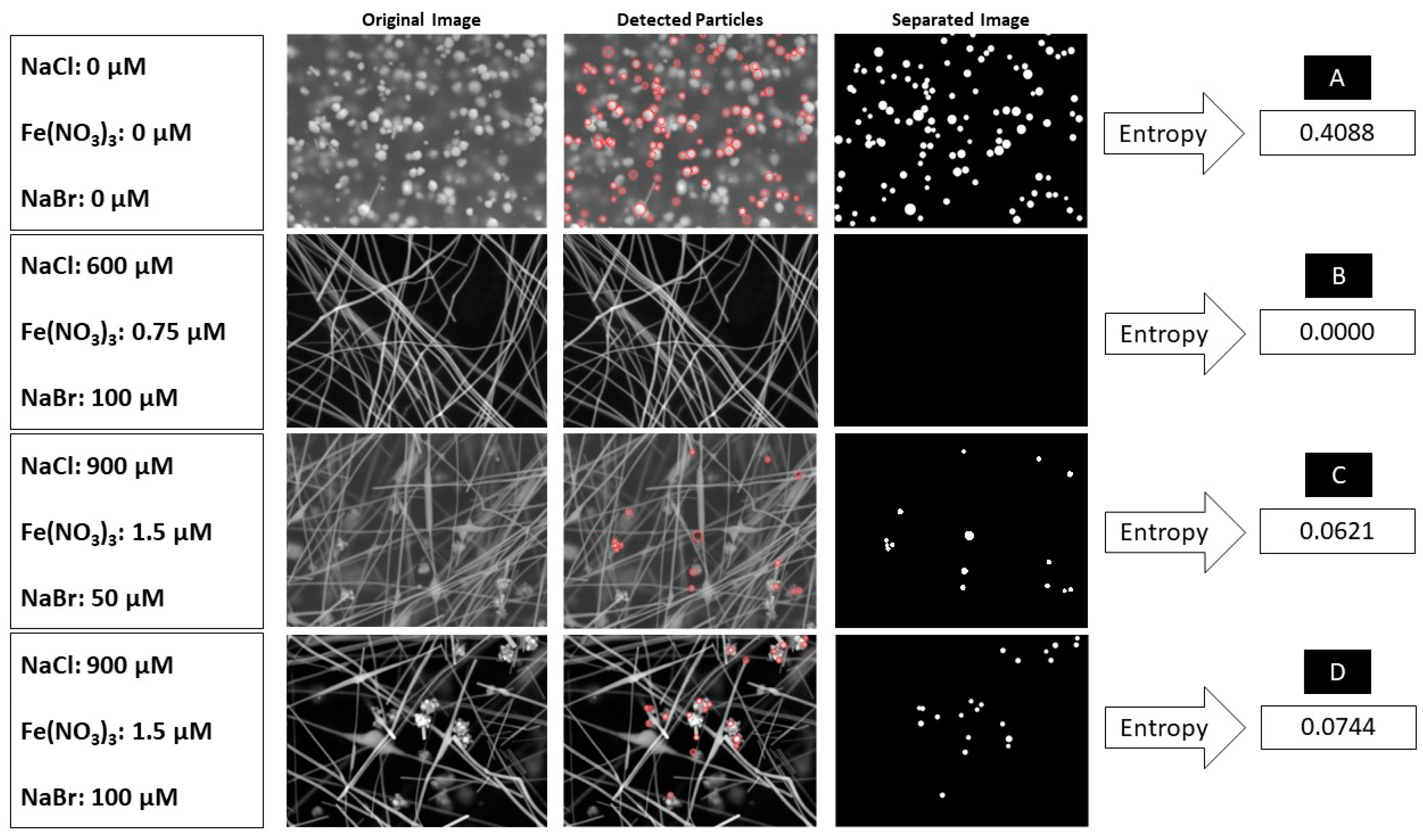 Processes 12 01487 g007