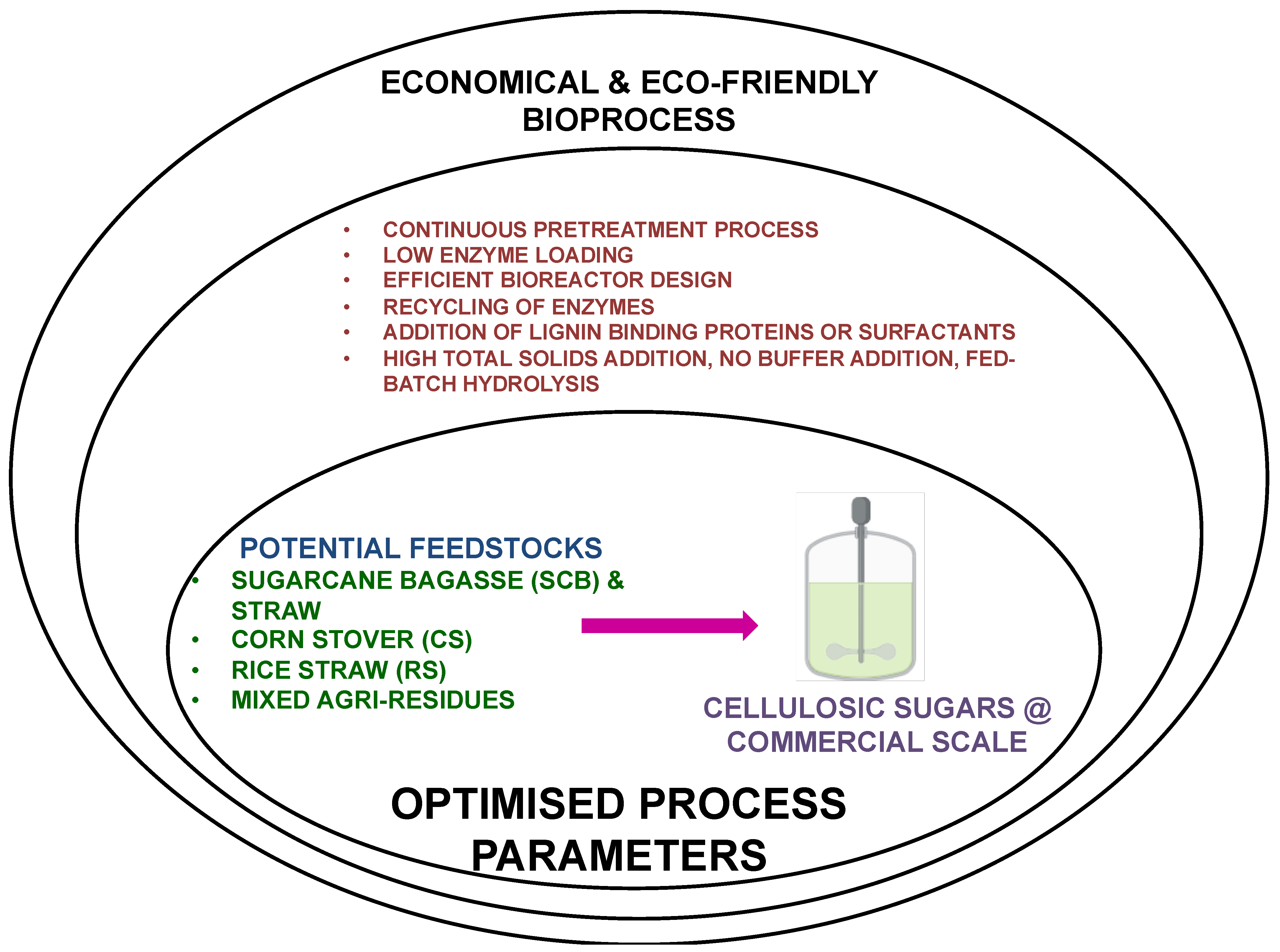 Processes 12 01496 g001