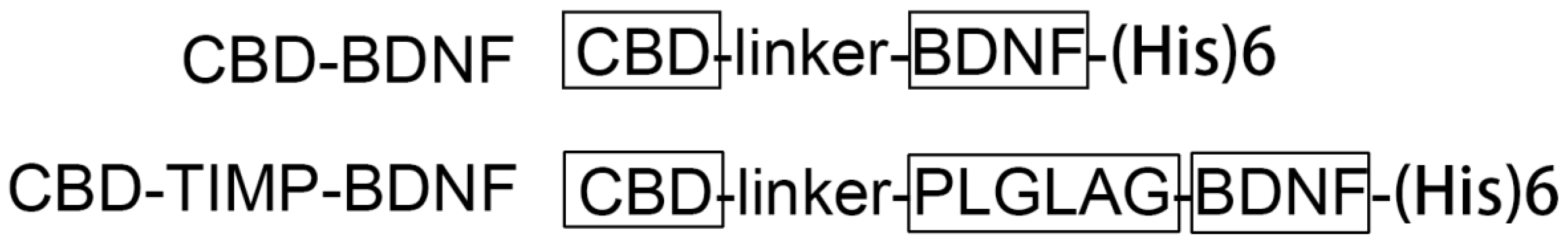Processes 12 01510 g001