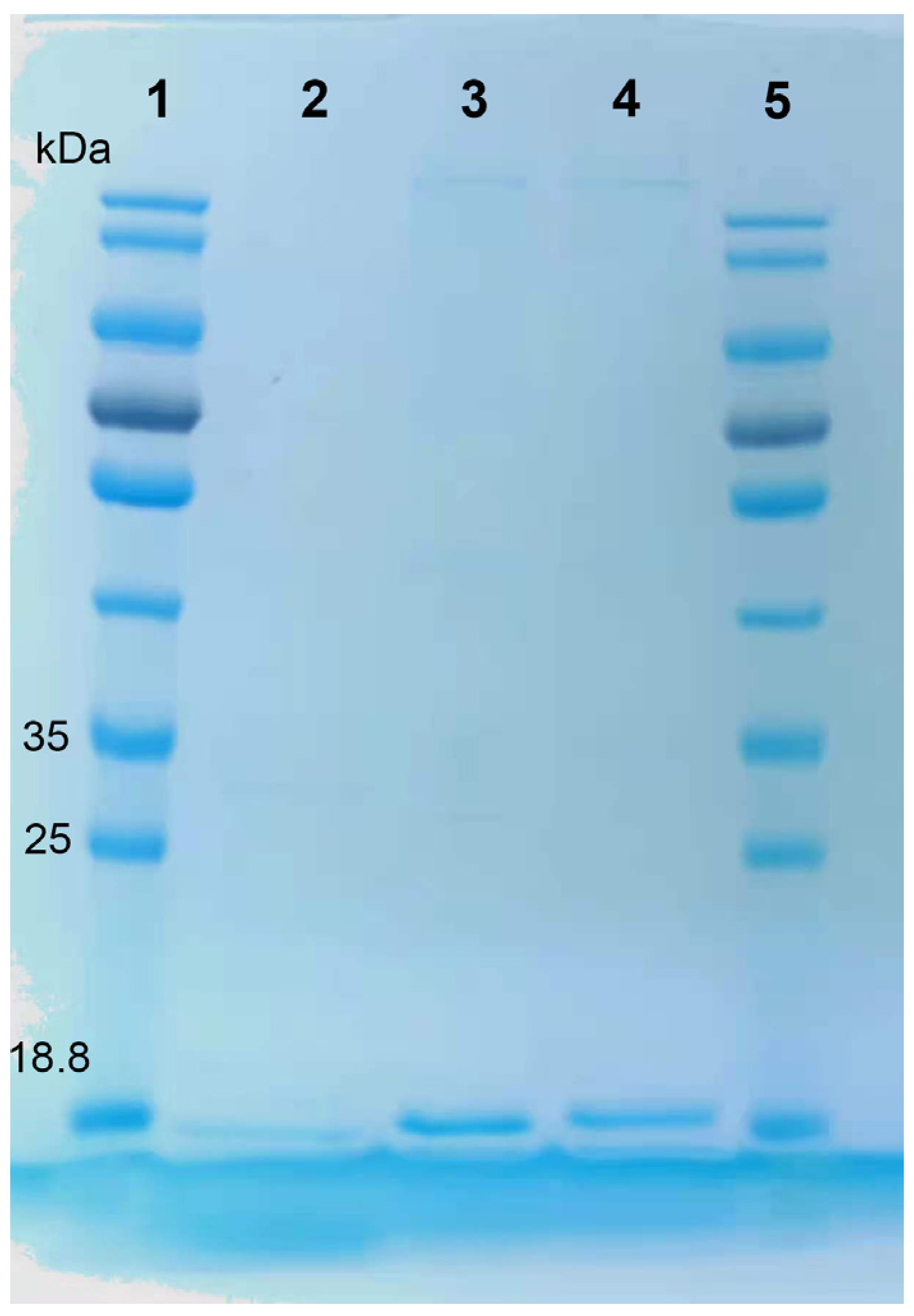 Processes 12 01510 g002