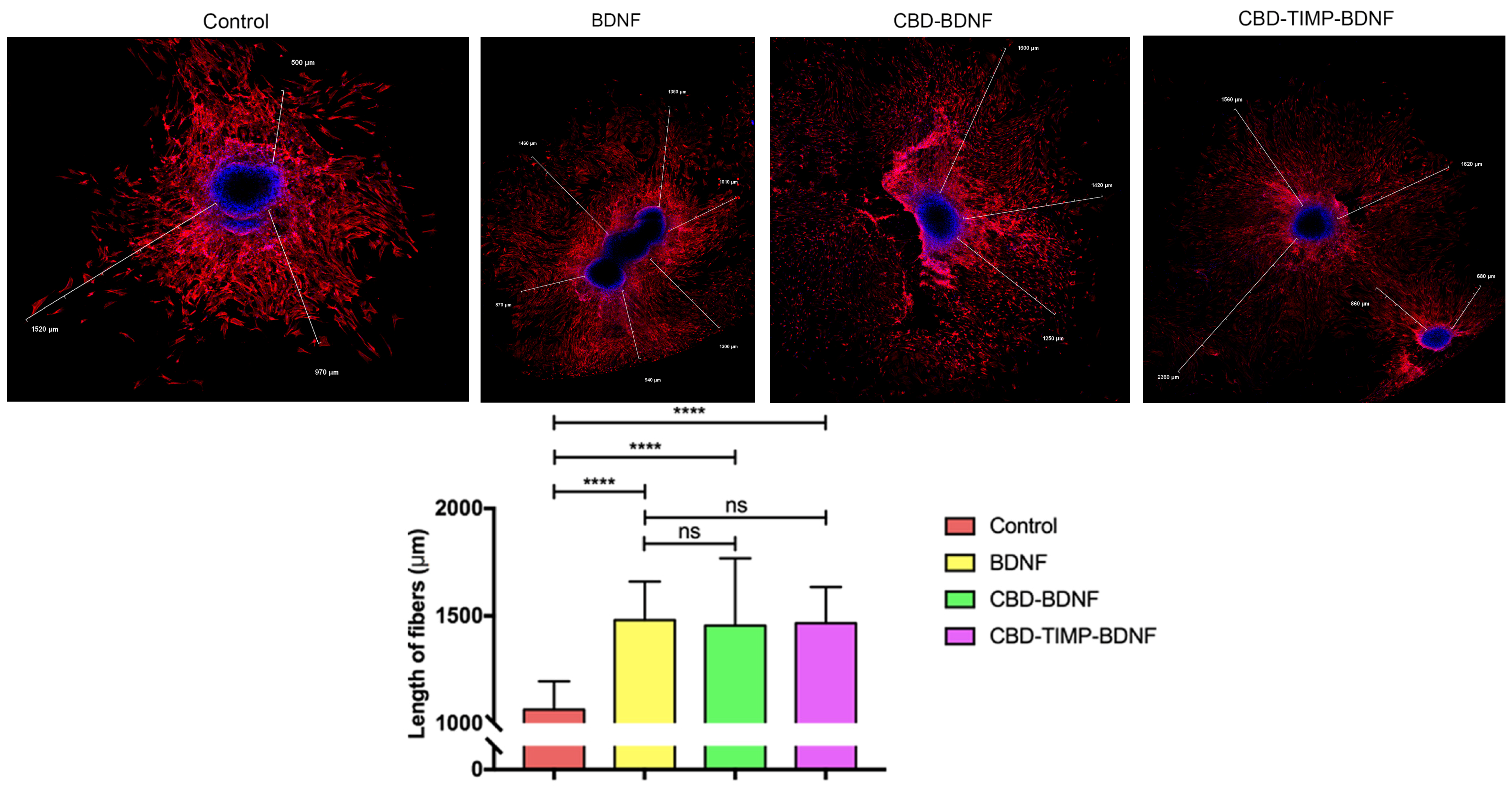 Processes 12 01510 g005