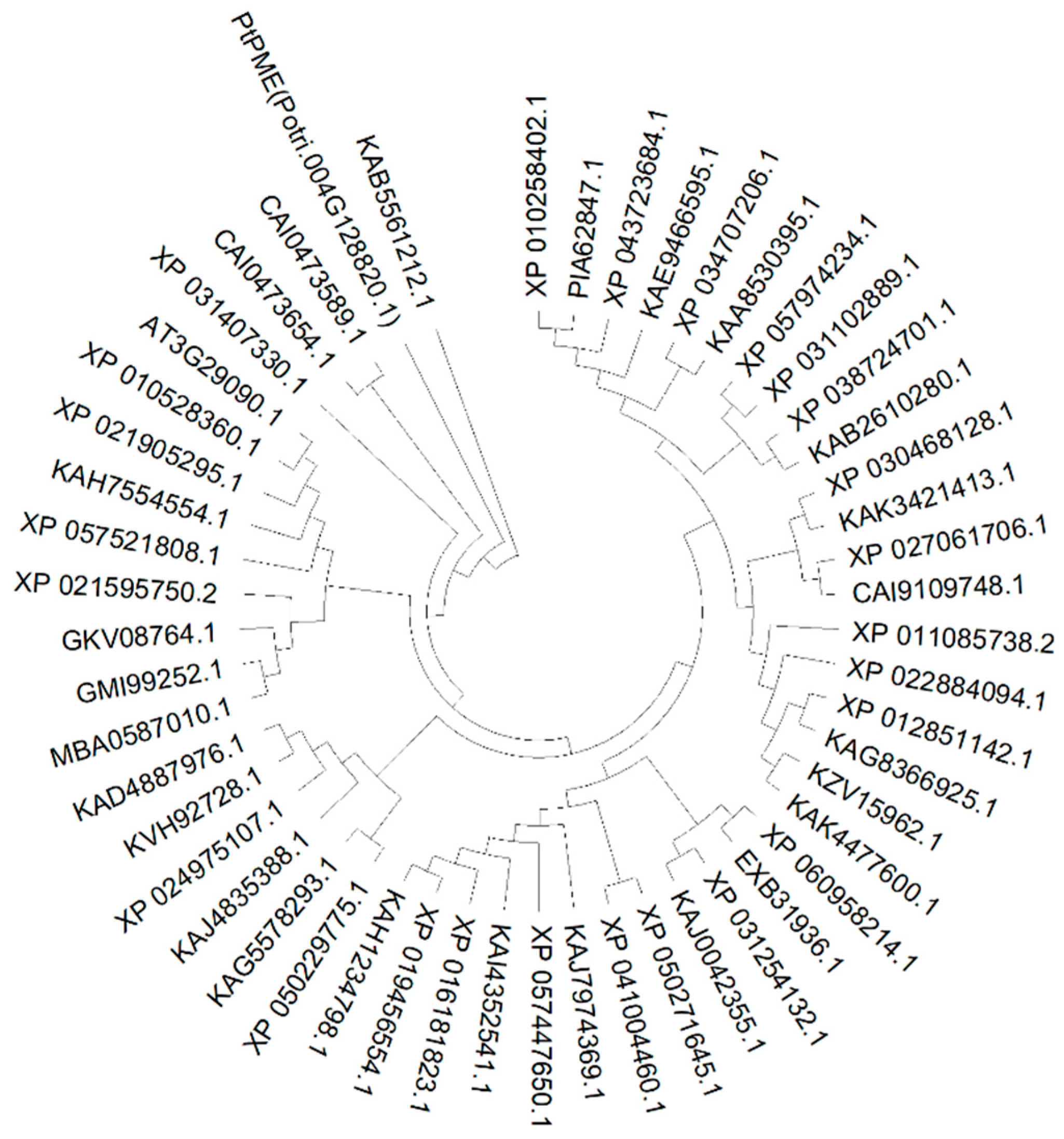 Processes 12 01511 g004