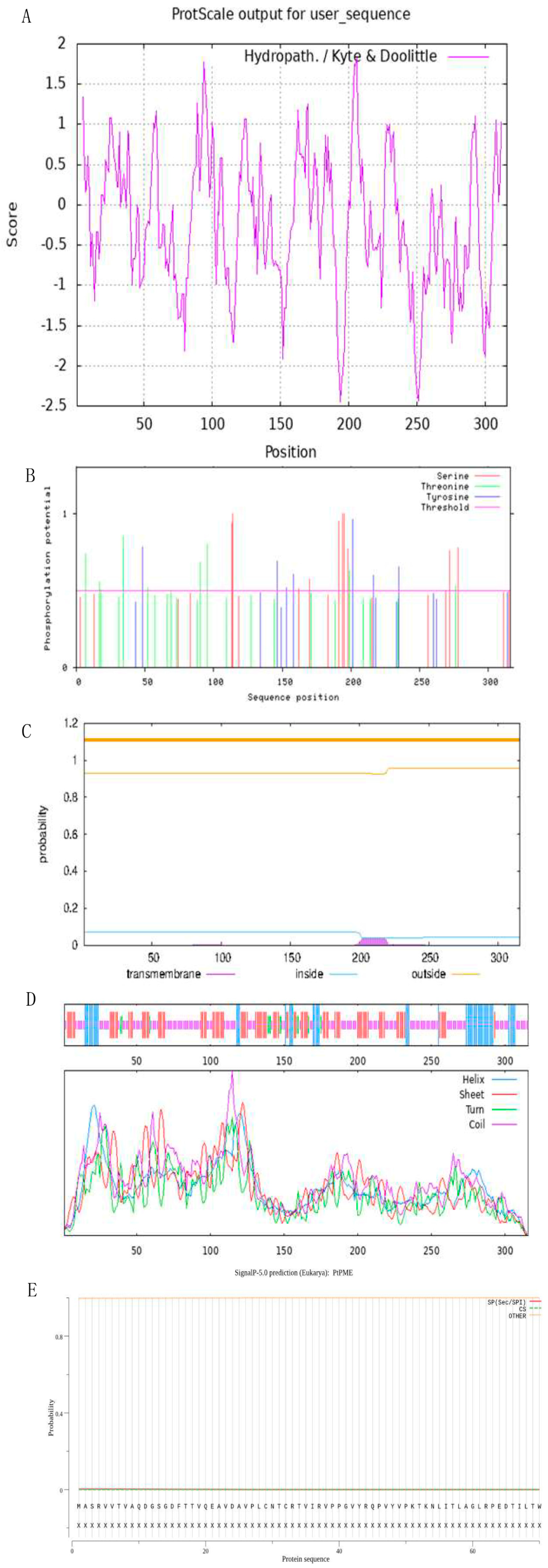 Processes 12 01511 g005