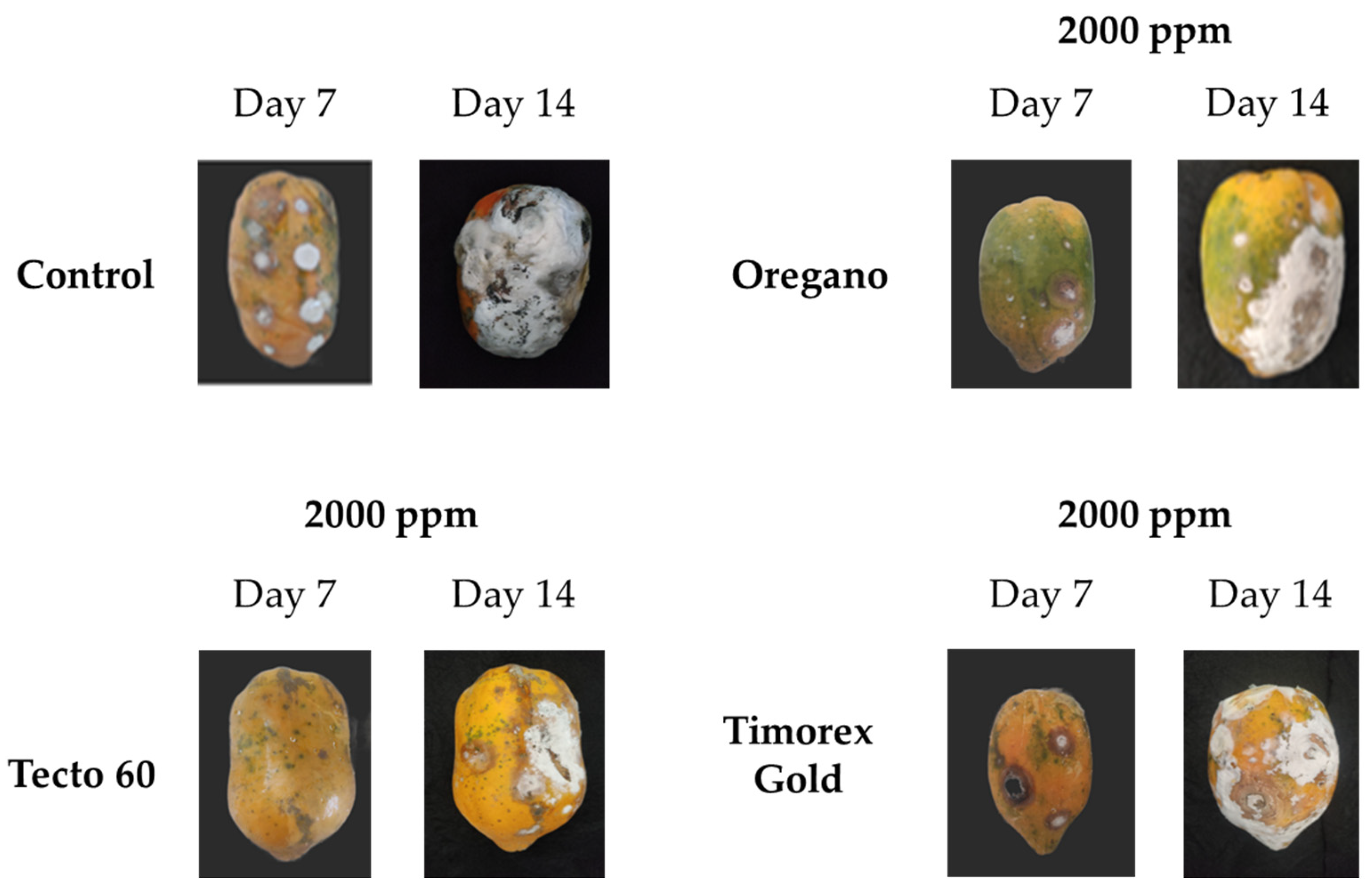 Processes 12 01525 g007