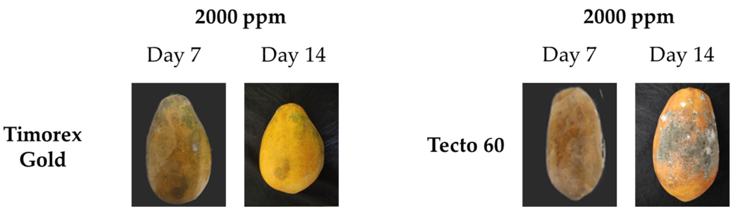 Processes 12 01525 g008