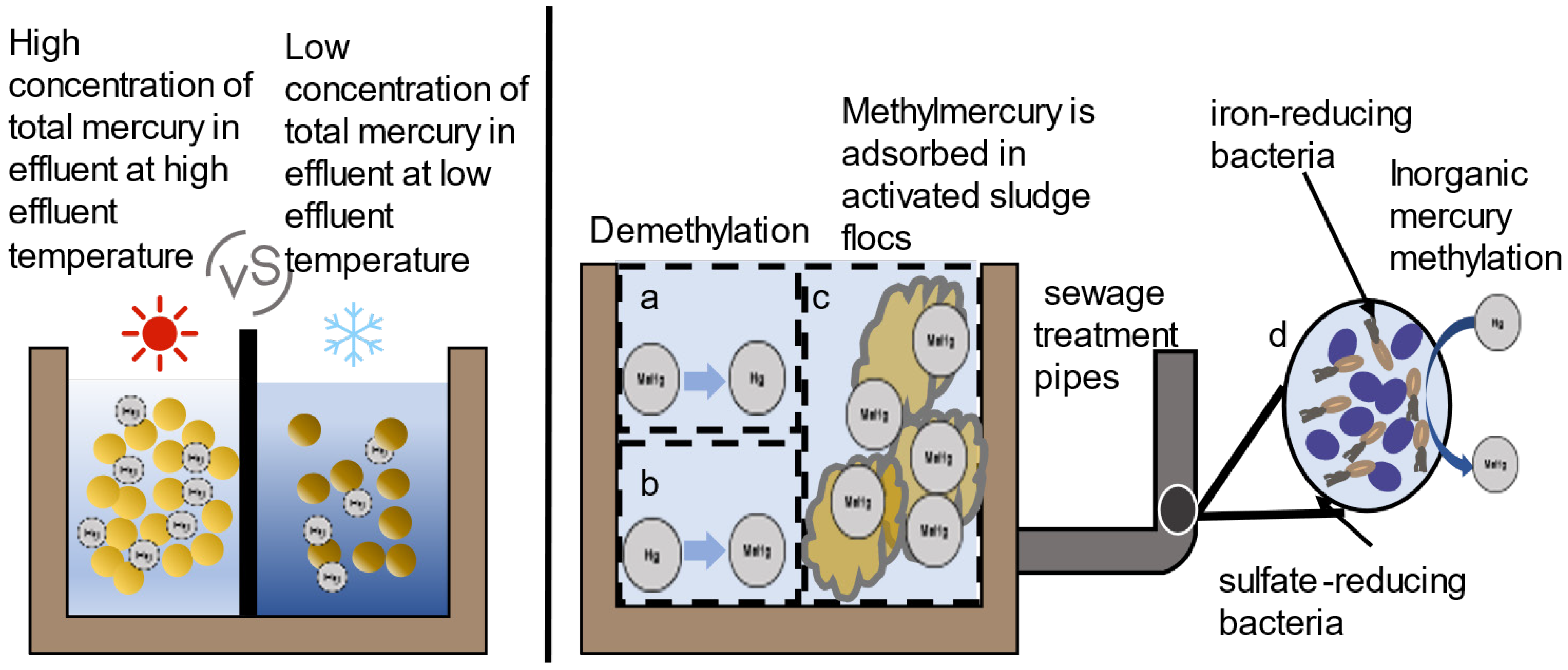 Processes 12 01534 g008