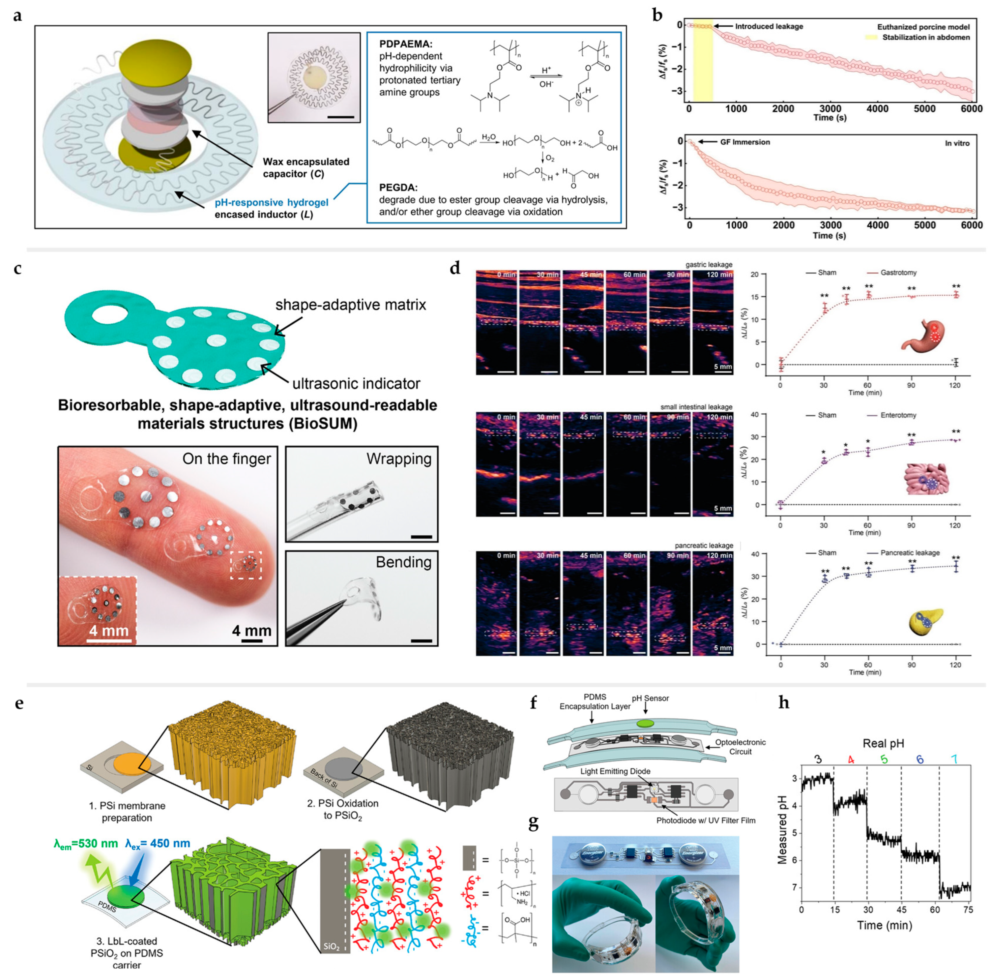 Processes 12 01535 g003 Processes 12 01535 g003