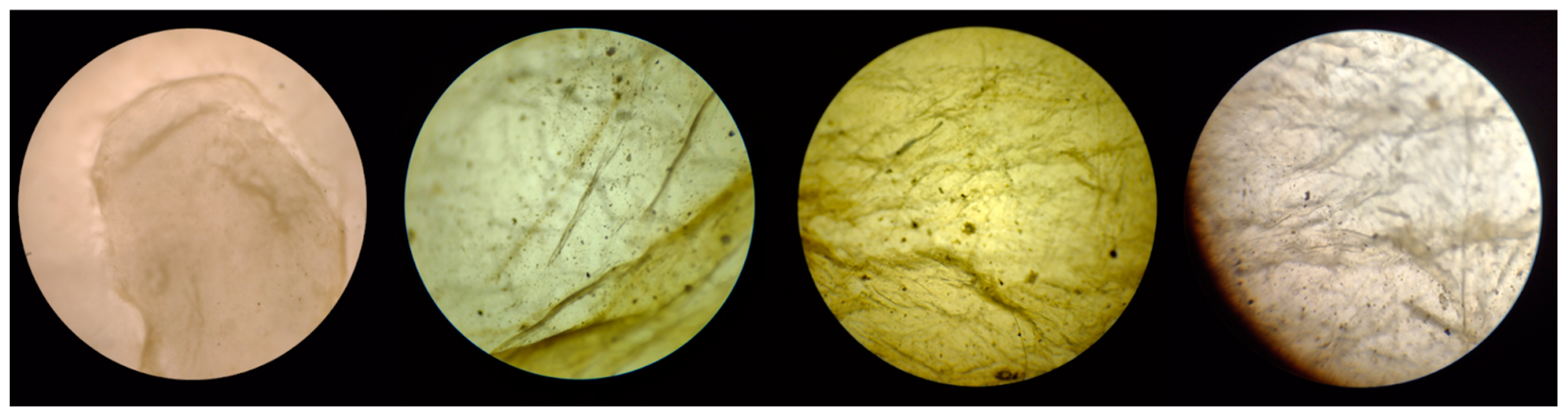 Processes 12 01542 g015