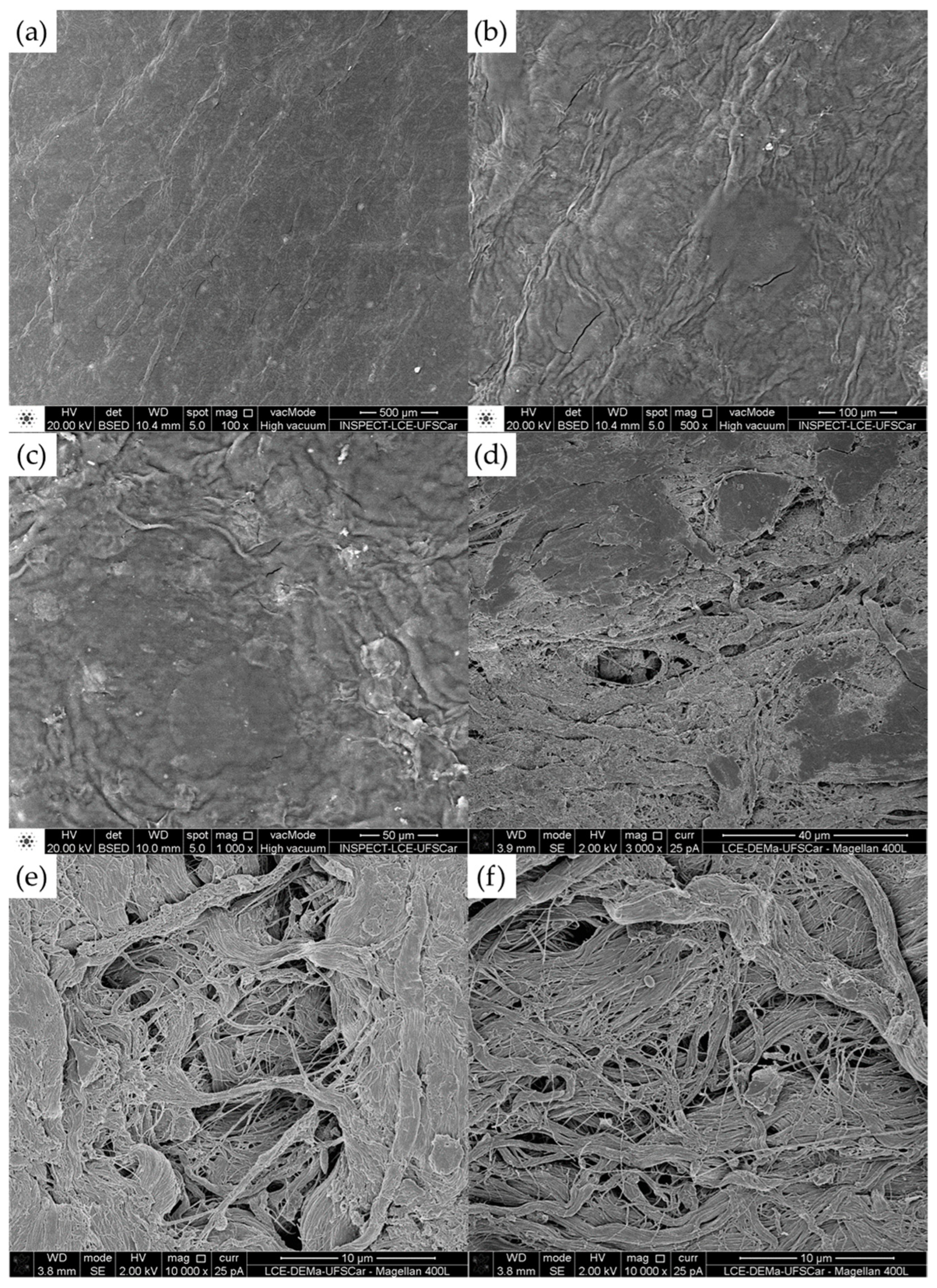 Processes 12 01542 g017