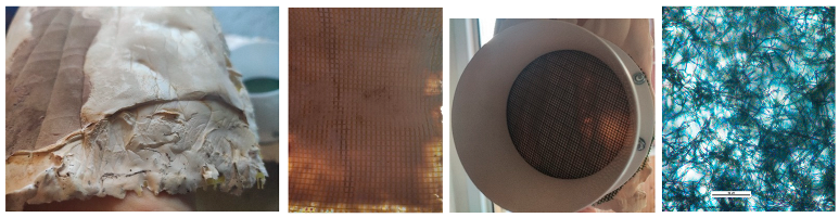 Processes 12 01545 i003