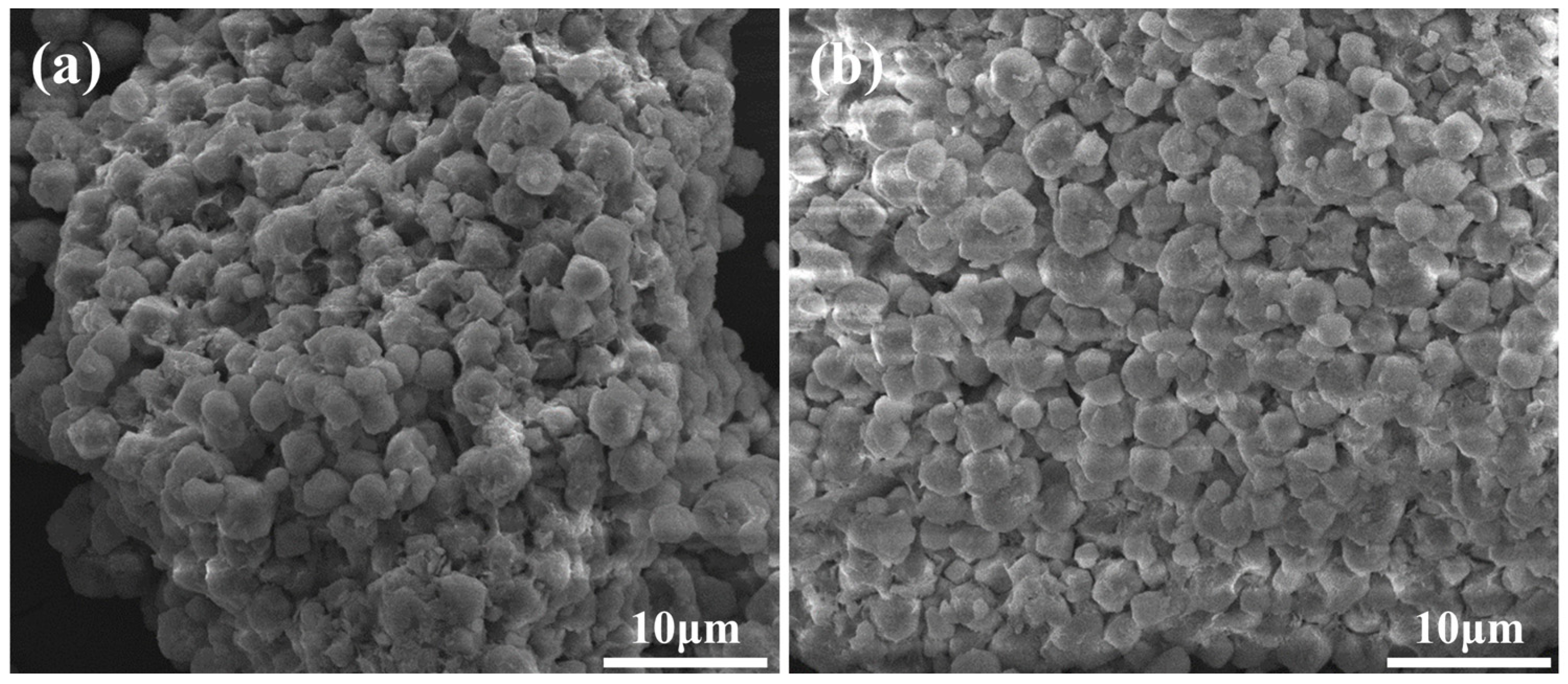 Processes 12 01547 g001