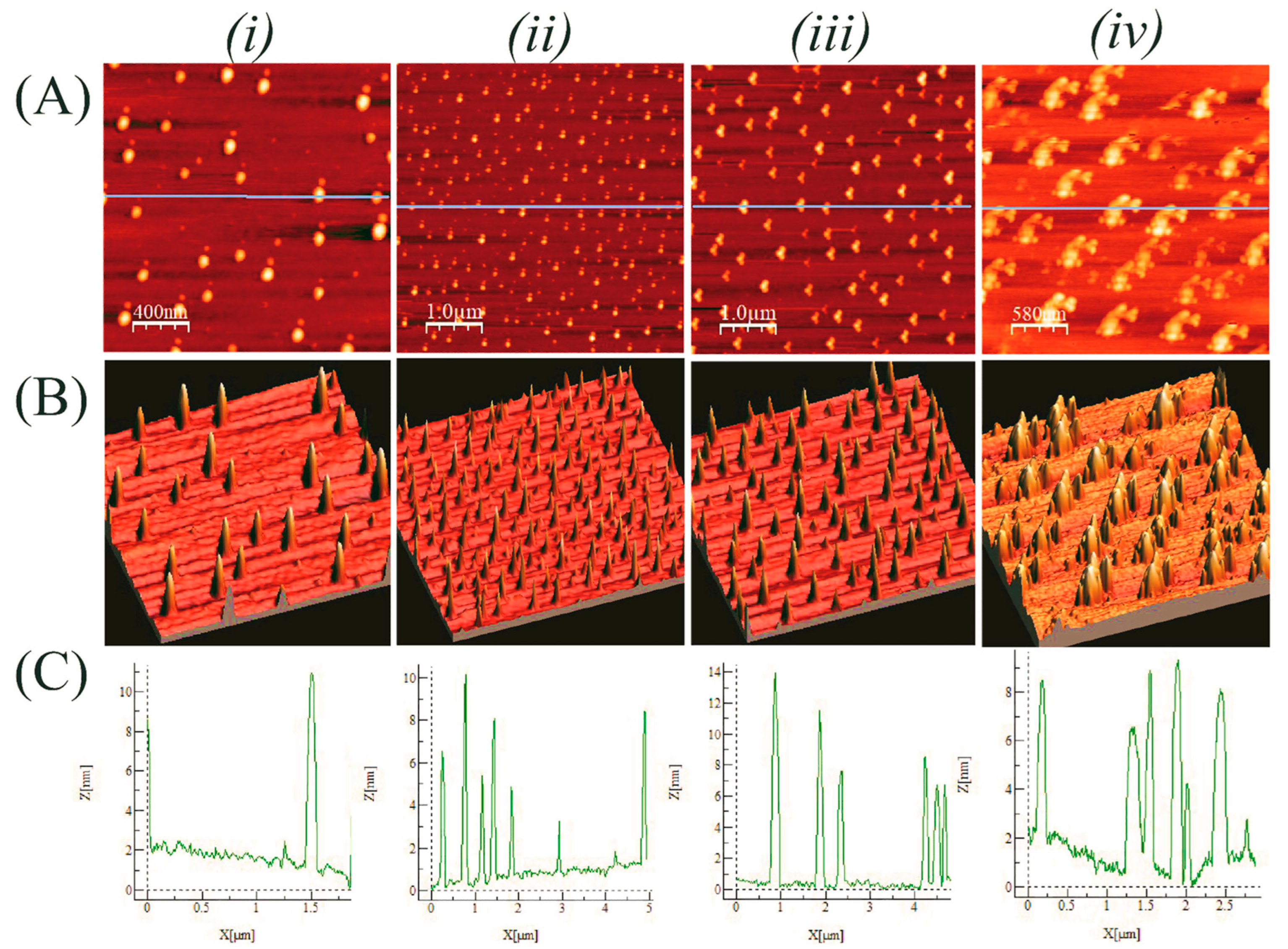 Processes 12 01562 g005