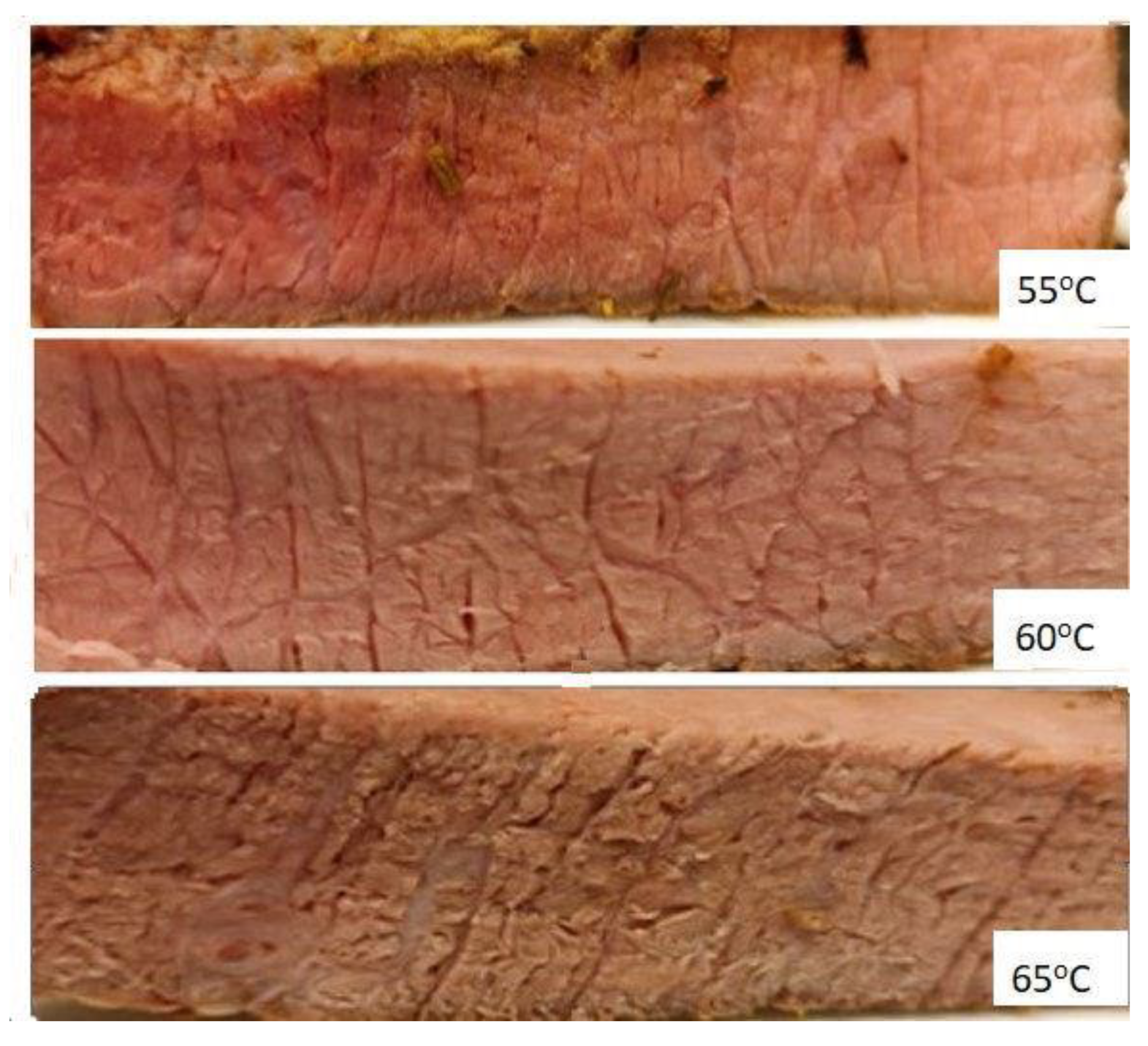 Processes 12 01577 g001