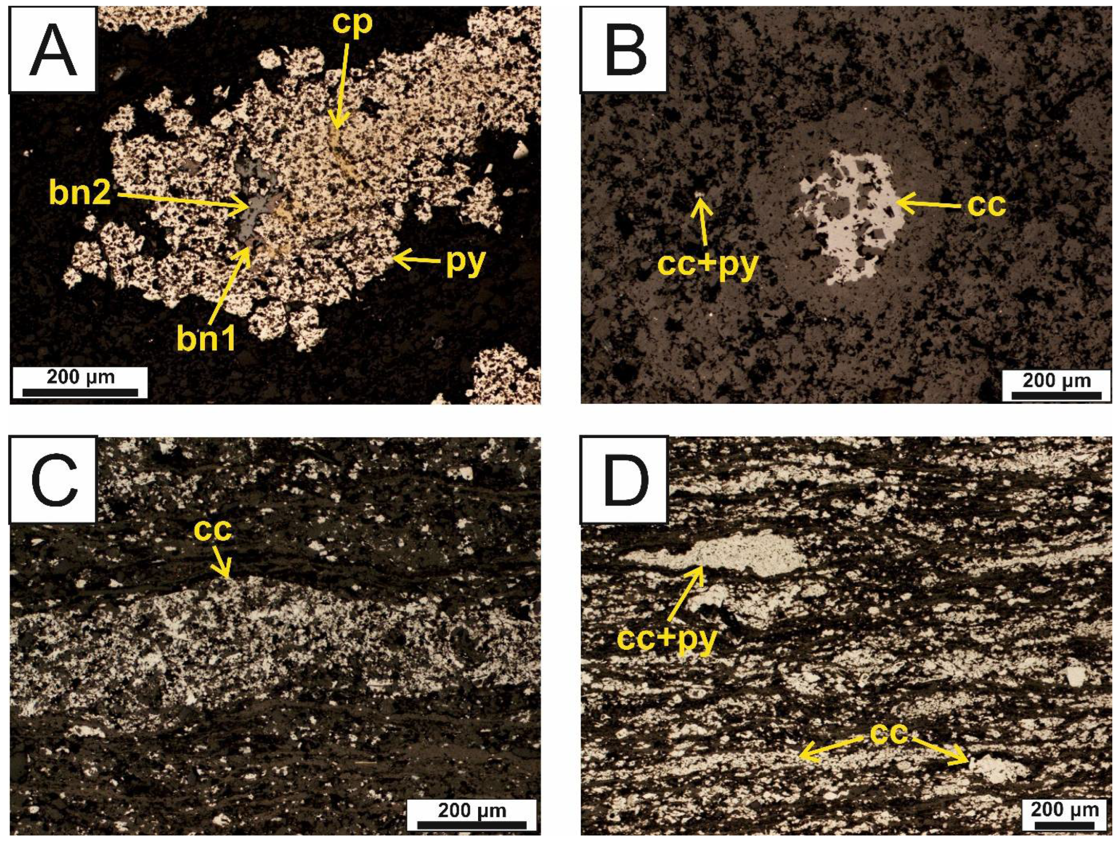 Processes 12 01592 g009