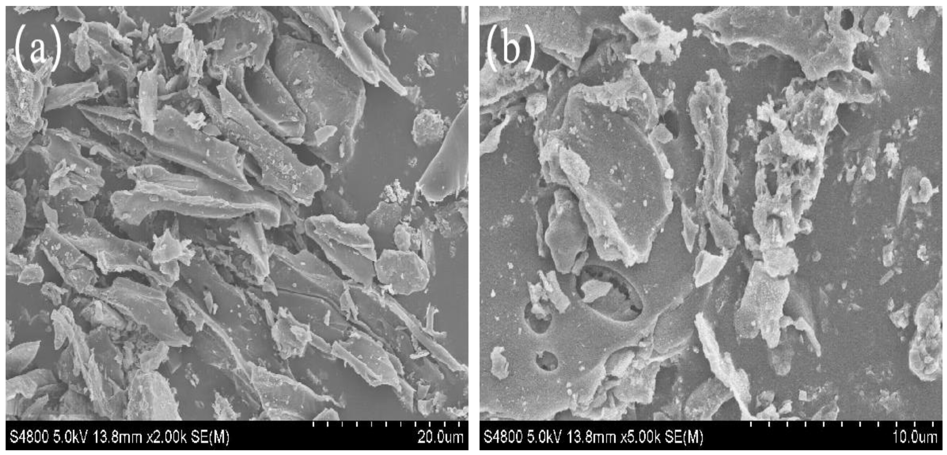 Processes 12 01596 g001