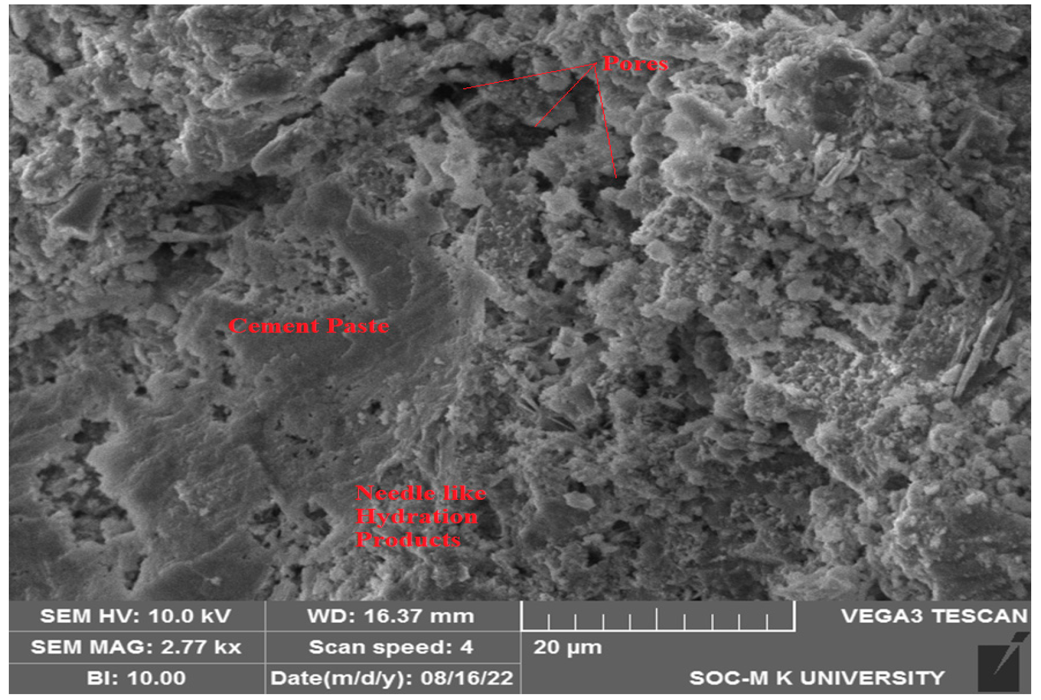 Processes 12 01602 g004