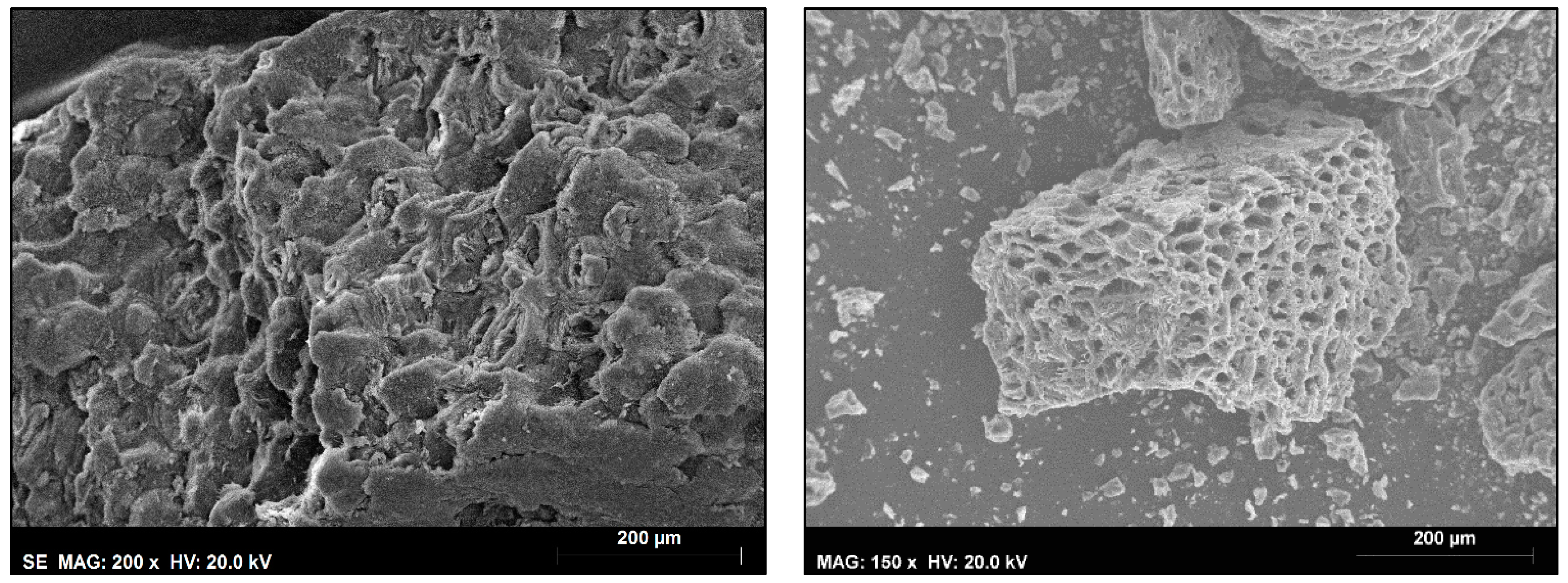 Processes 12 01603 g005 Processes 12 01603 g005