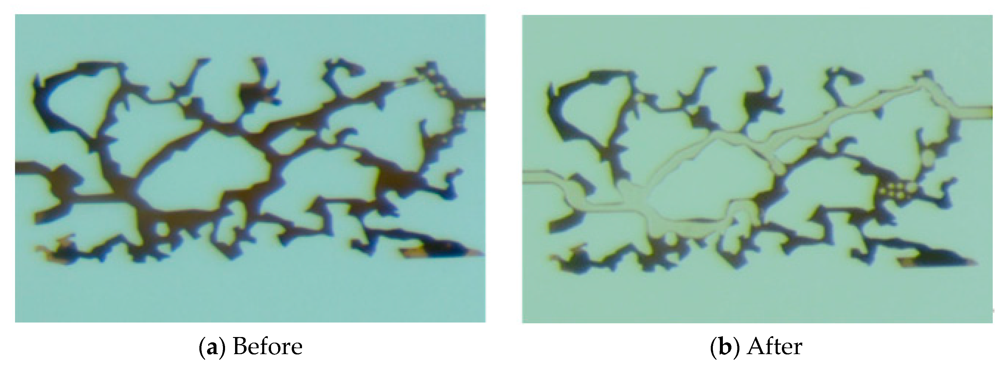 Processes 12 01608 g004