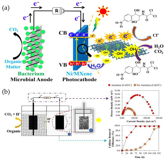 Advances and Prospects in Electrocatalytic Processes for