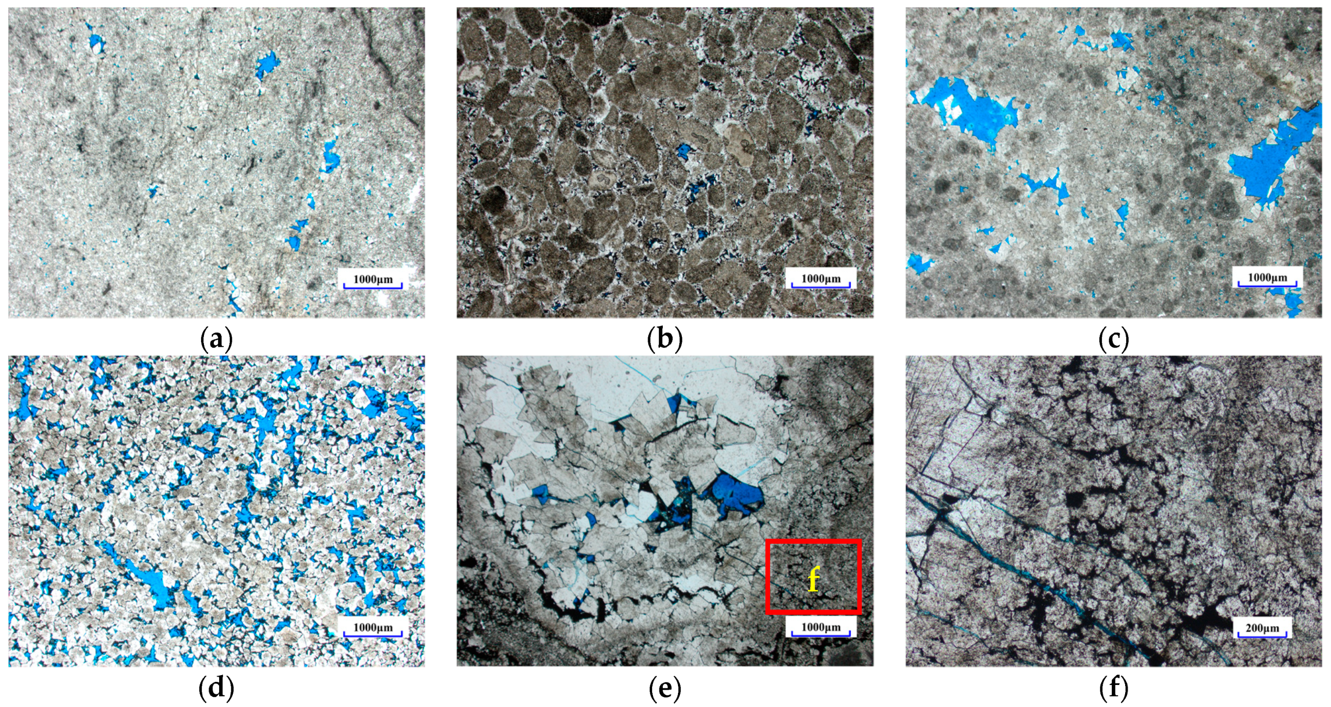 Processes 12 01619 g005