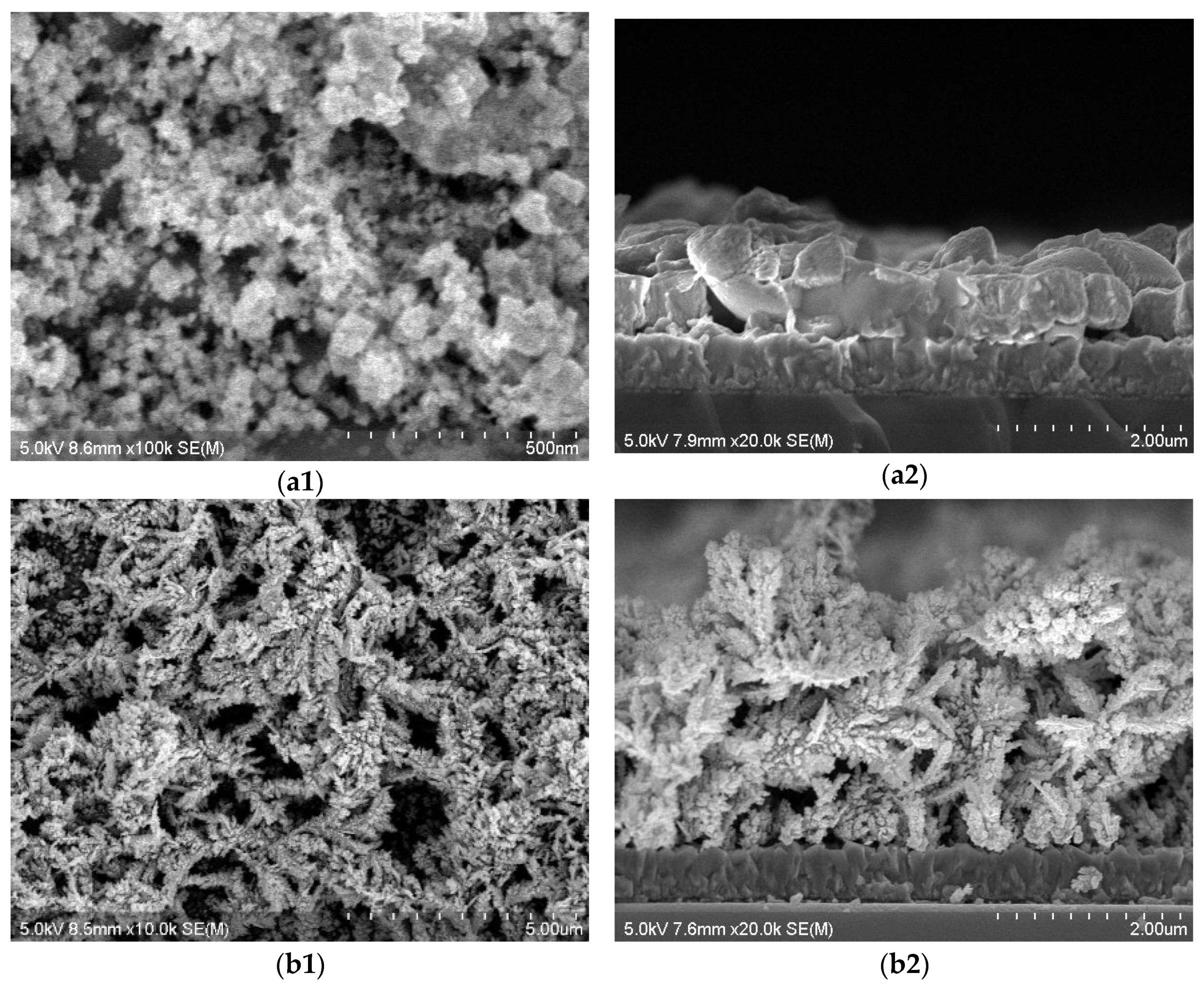 Processes 12 01625 g003 Processes 12 01625 g003