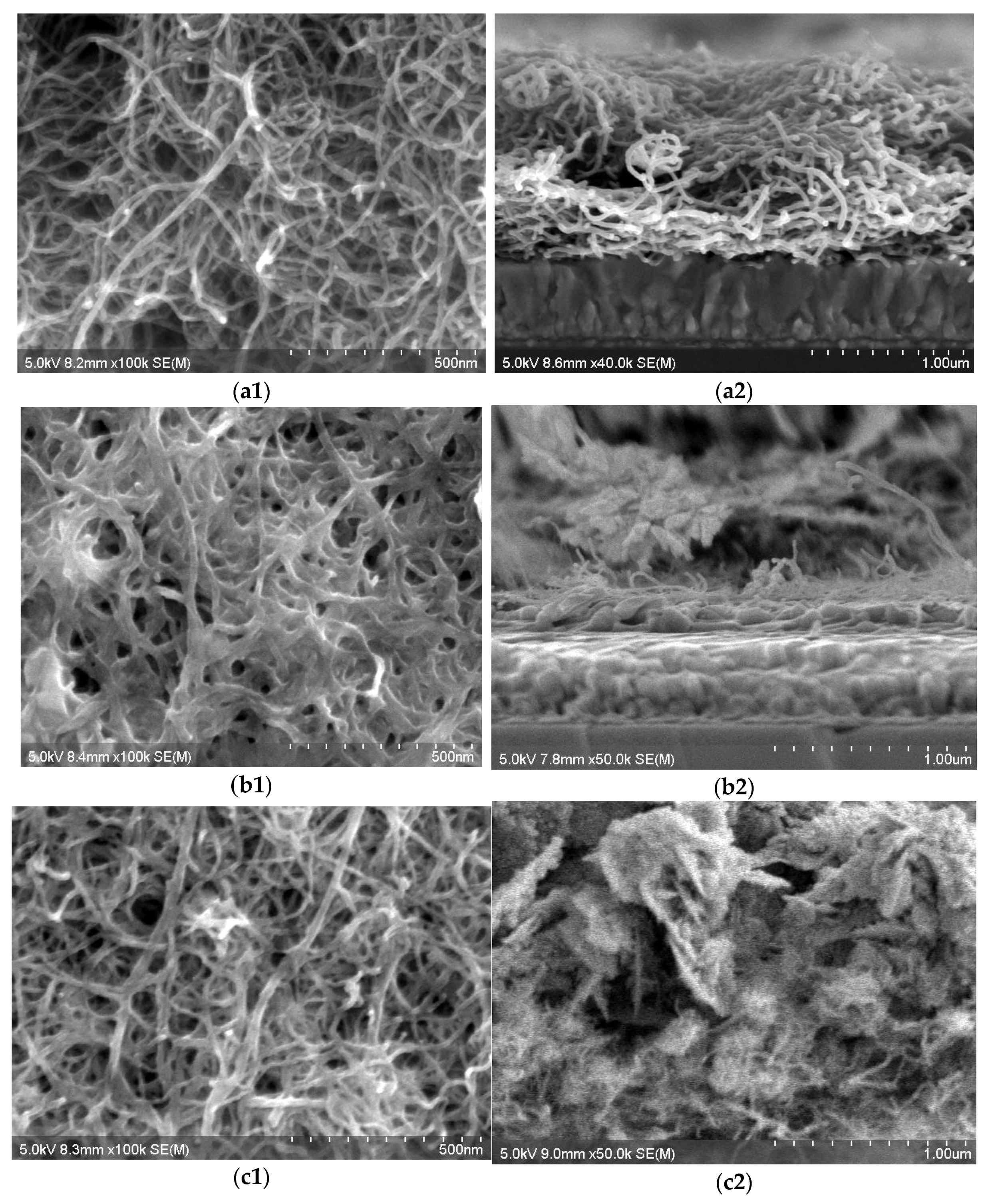 Processes 12 01625 g004 Processes 12 01625 g004