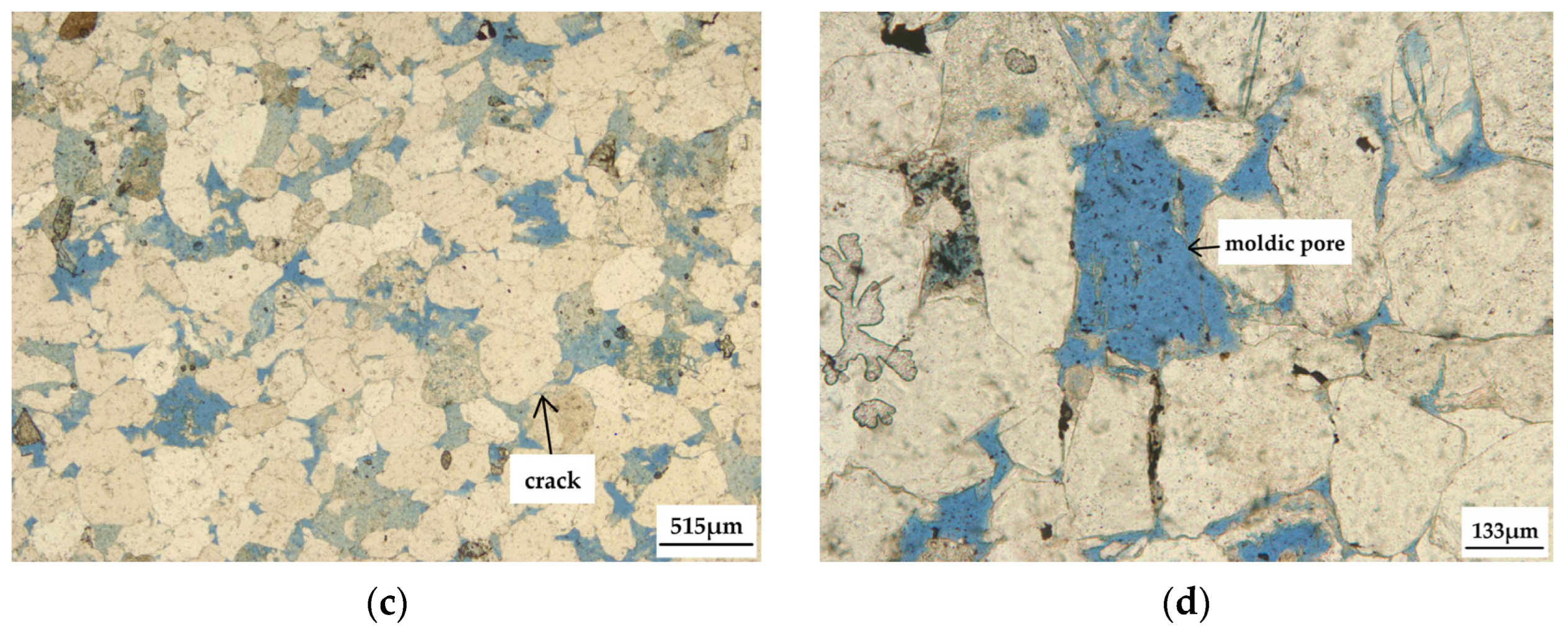 Processes 12 01653 g002b