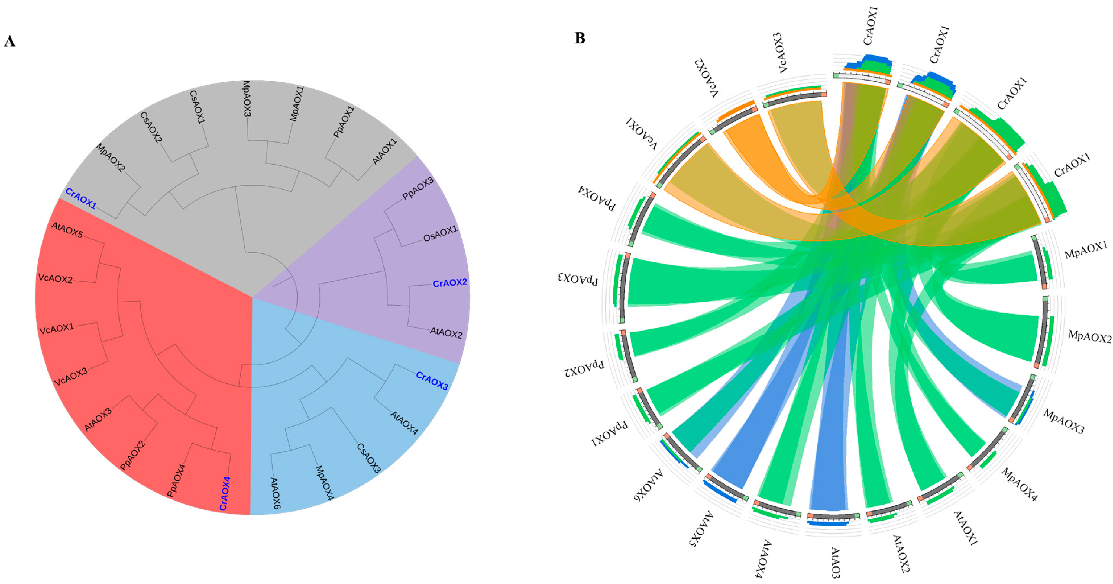 Processes 12 01654 g005