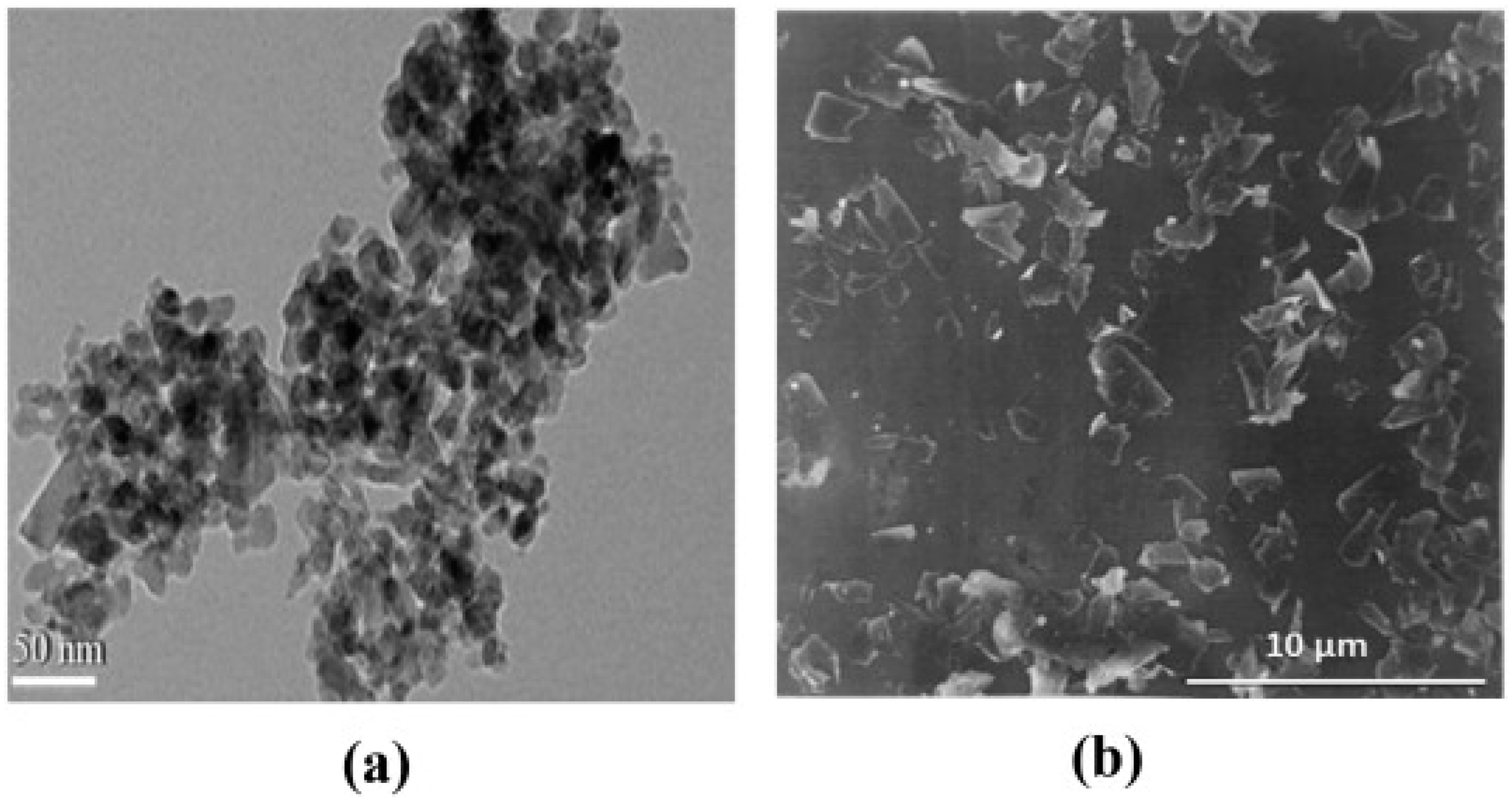 Processes 12 01676 g002