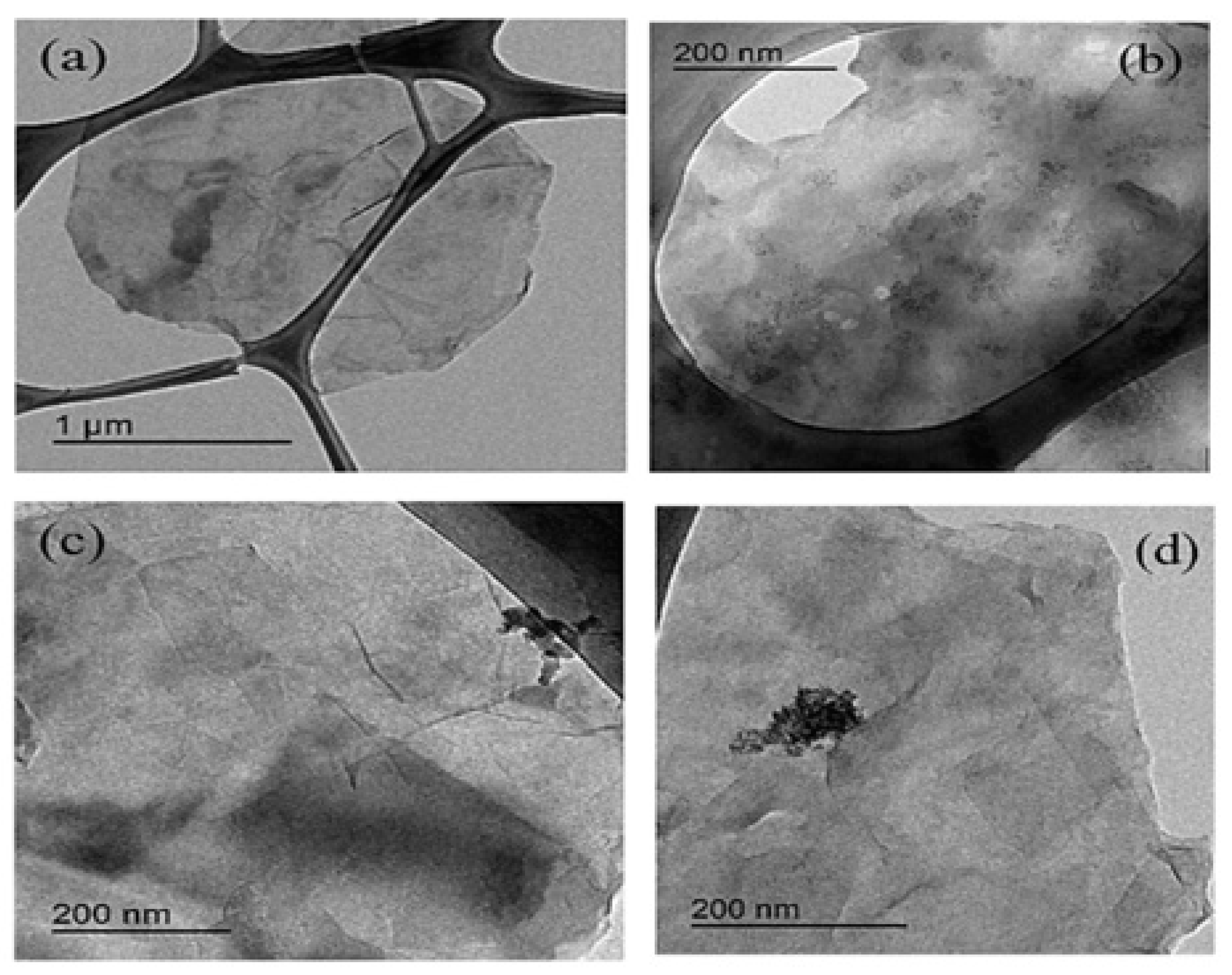 Processes 12 01684 g014