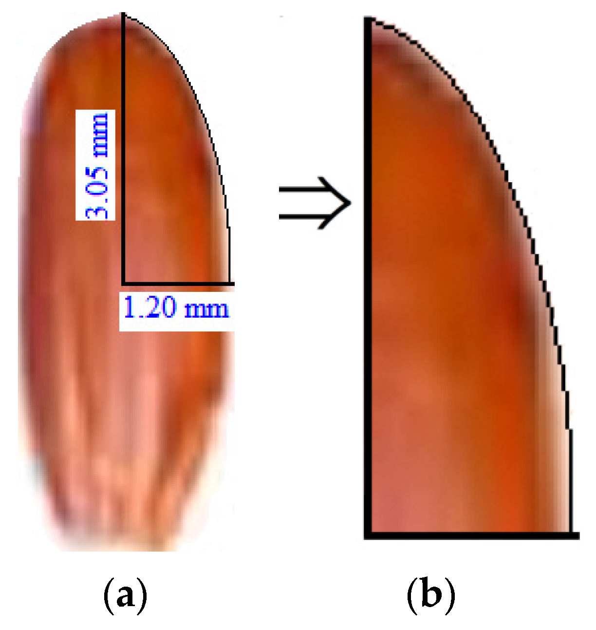 Processes 12 01696 g001