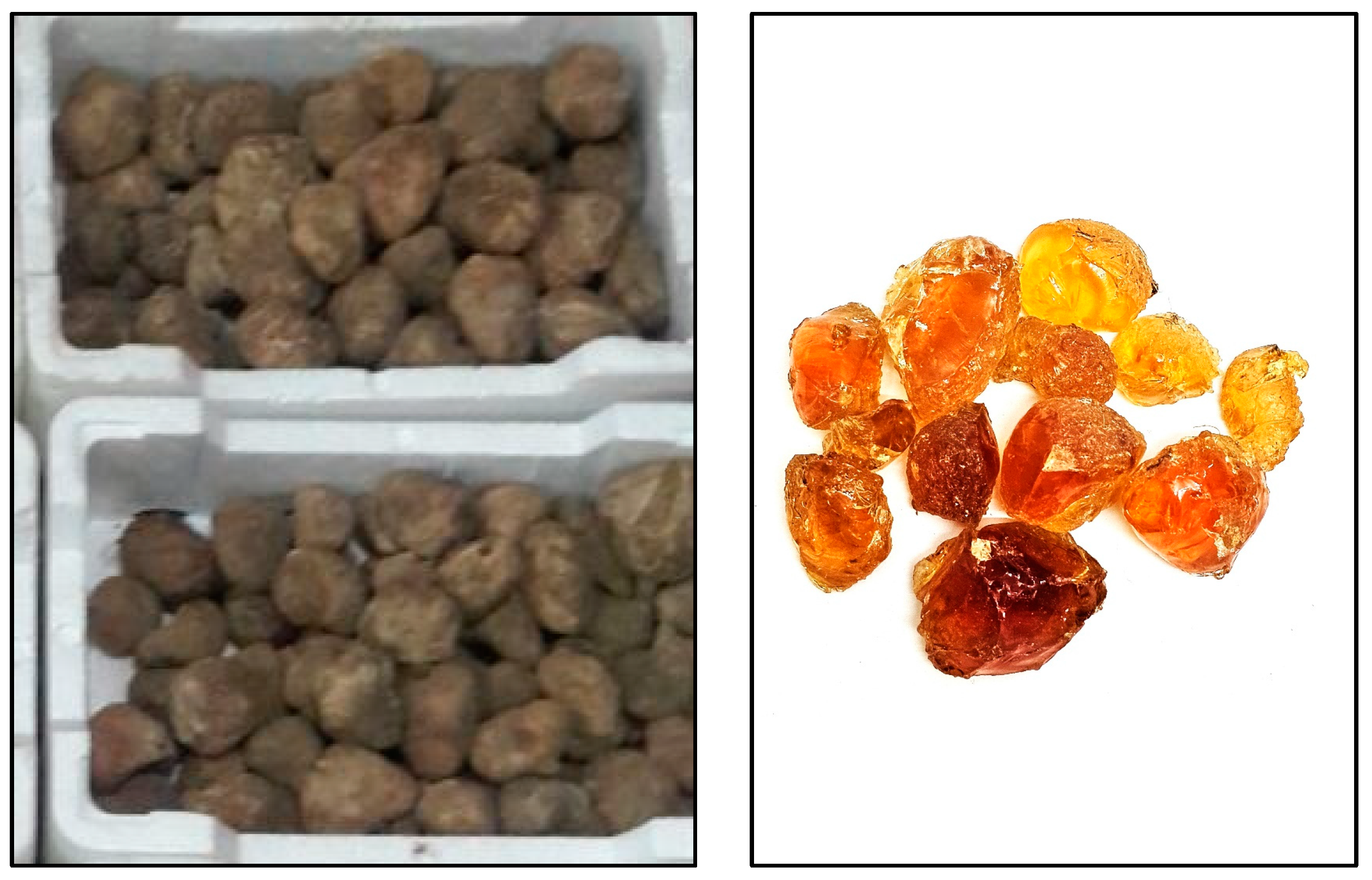 Processes 12 01714 g001