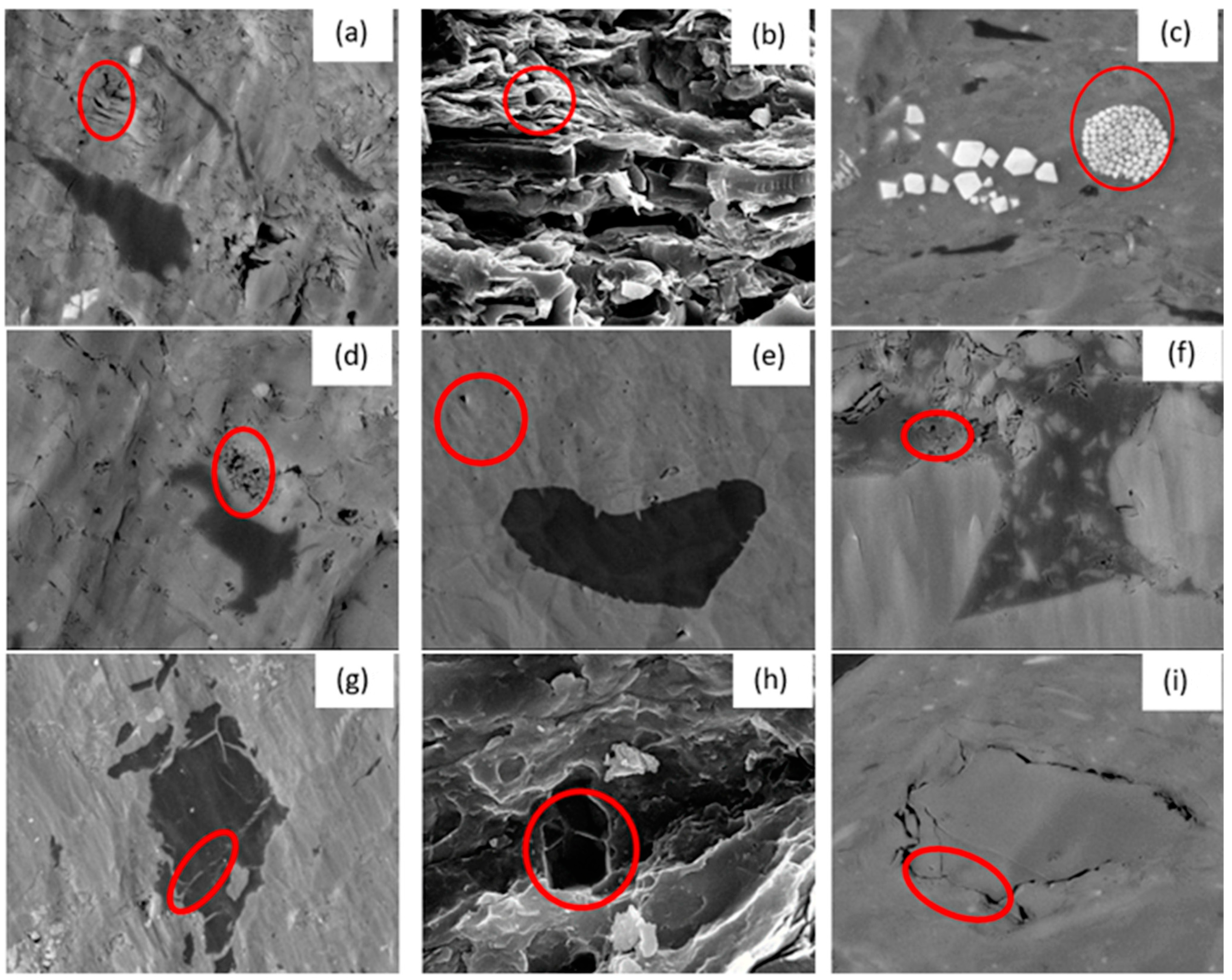 Processes 12 01734 g010