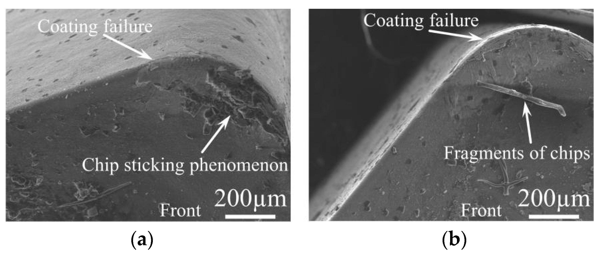 Processes 12 01747 g003