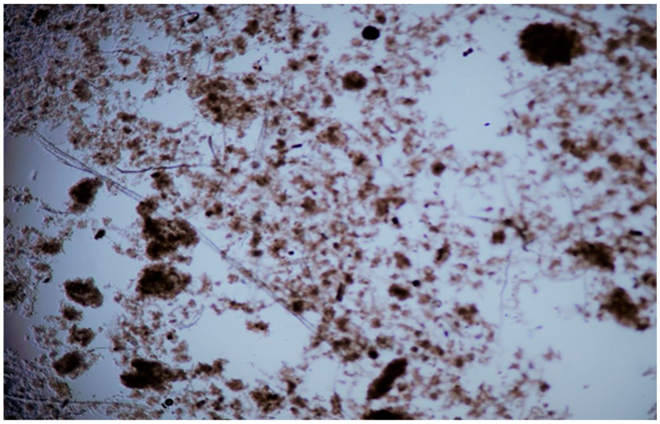 Processes 12 01782 g007 Processes 12 01782 g007