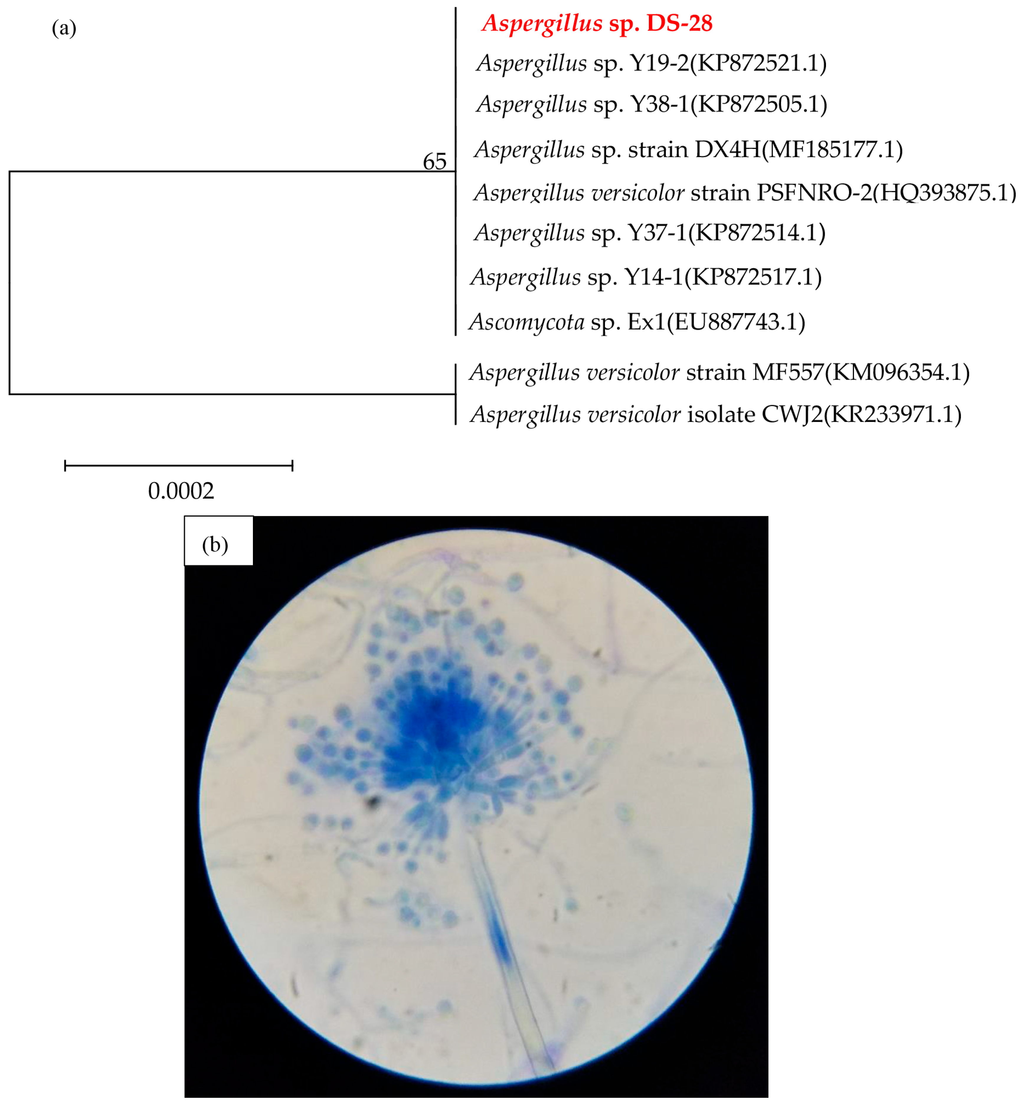 Processes 12 01818 g001
