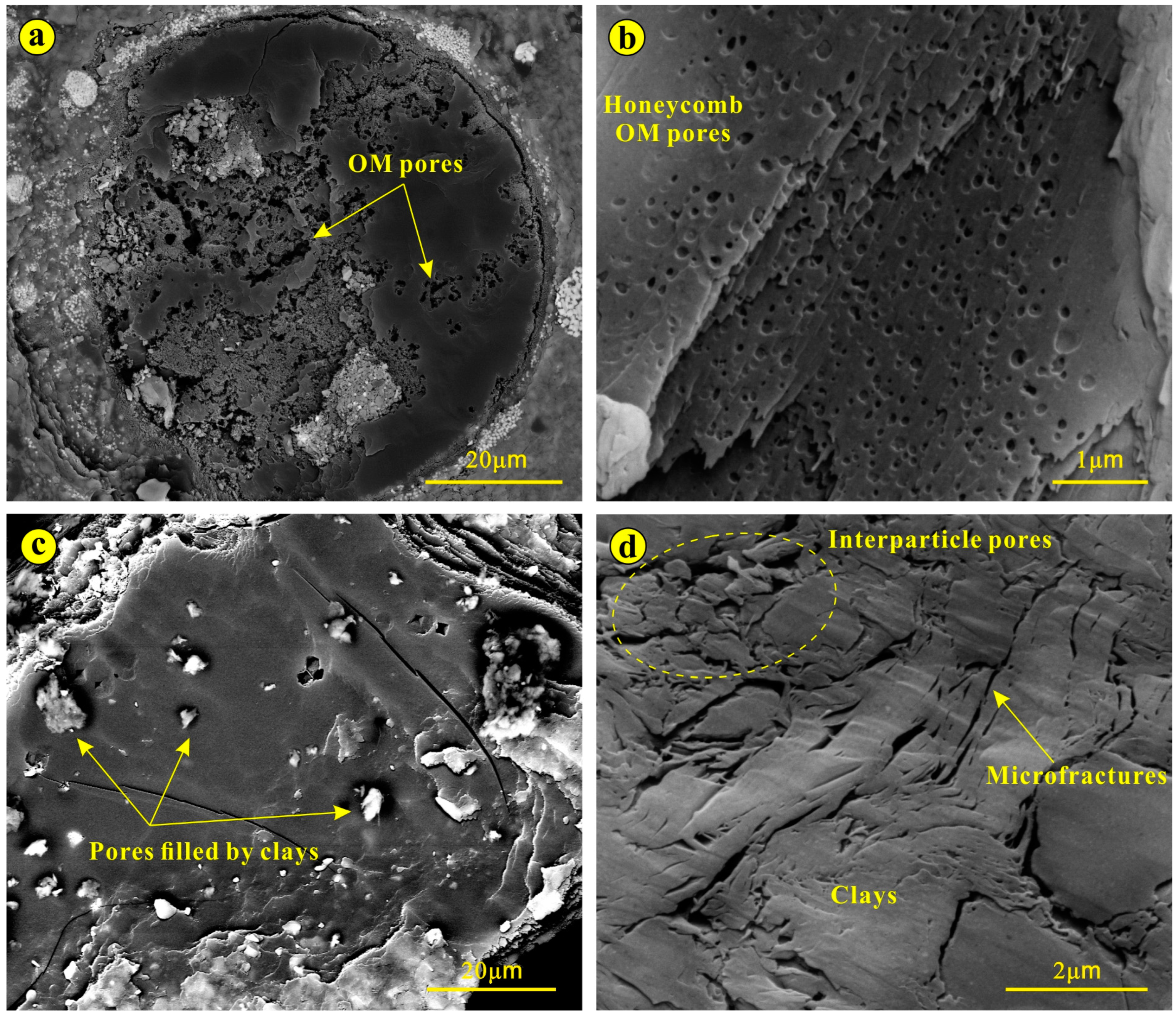 Processes 12 01842 g009