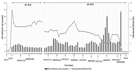 Scaling up the Natural Mode of Action of Macrophyte