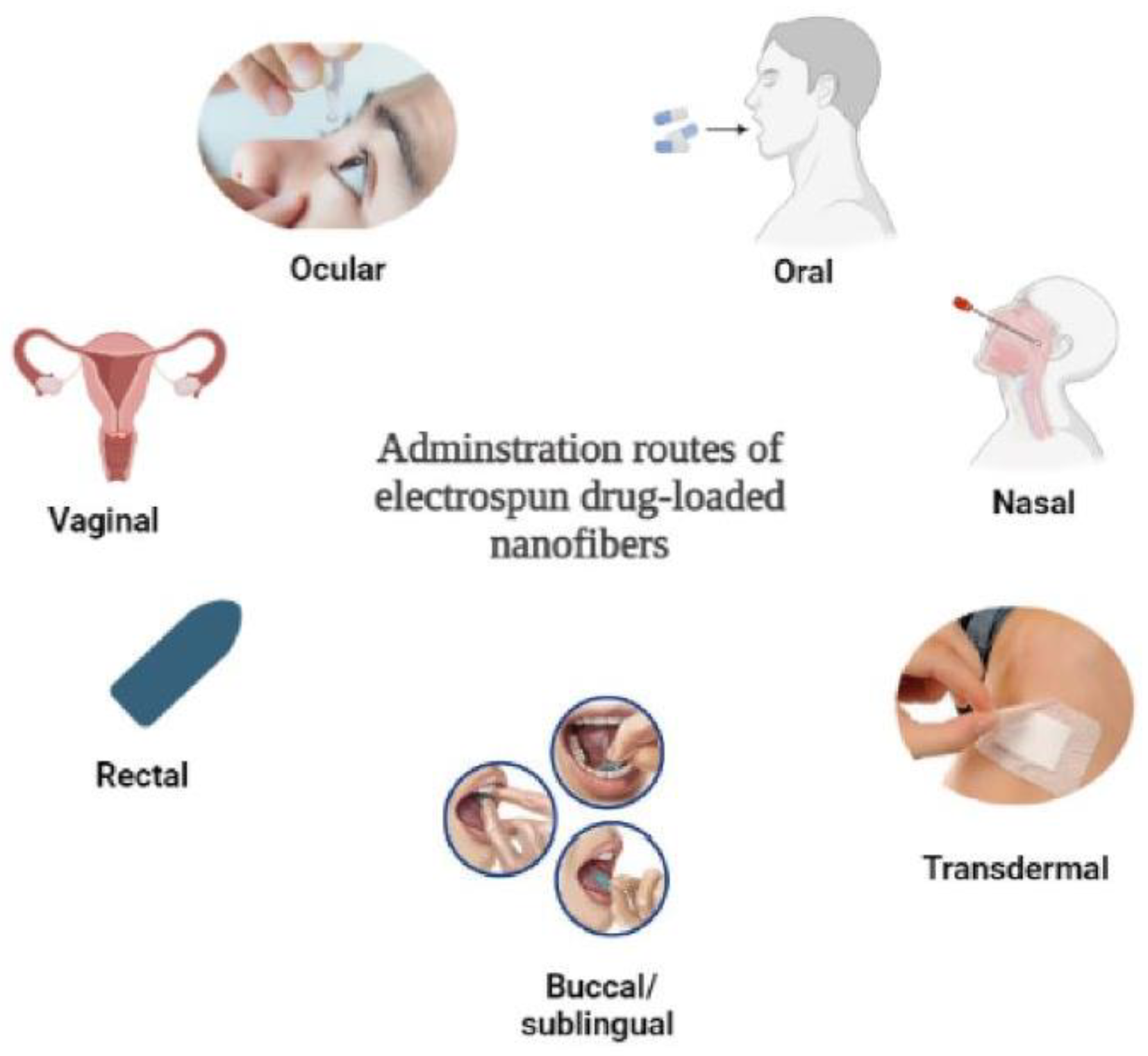 Processes 12 01894 g003