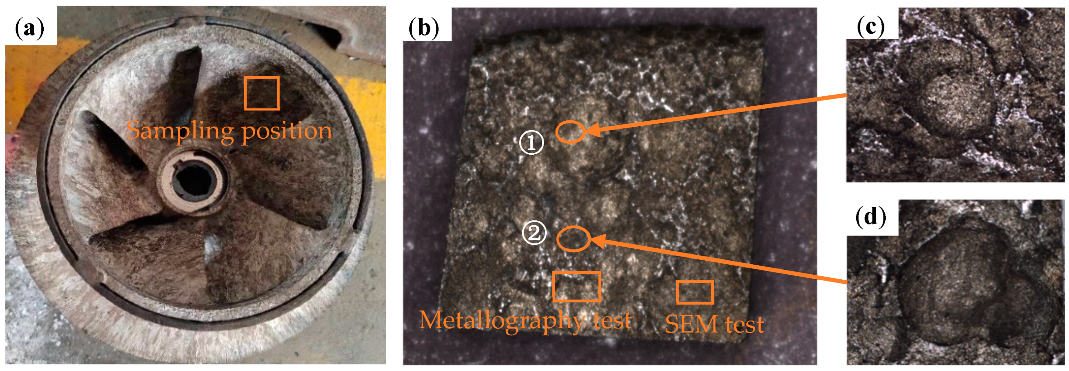 まりね Corrosion Failure Mechanism of 2507 Duplex Stainless Steel