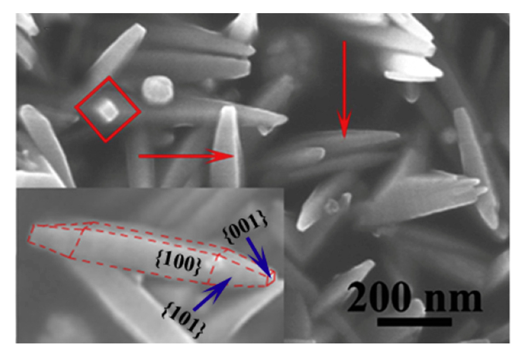 Processes 12 01914 g008