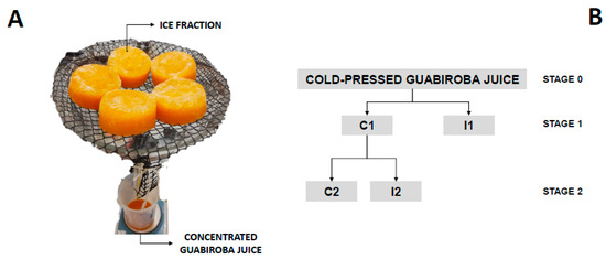 The Addition of Concentrated Cold-Pressed Guabiroba Juice to 