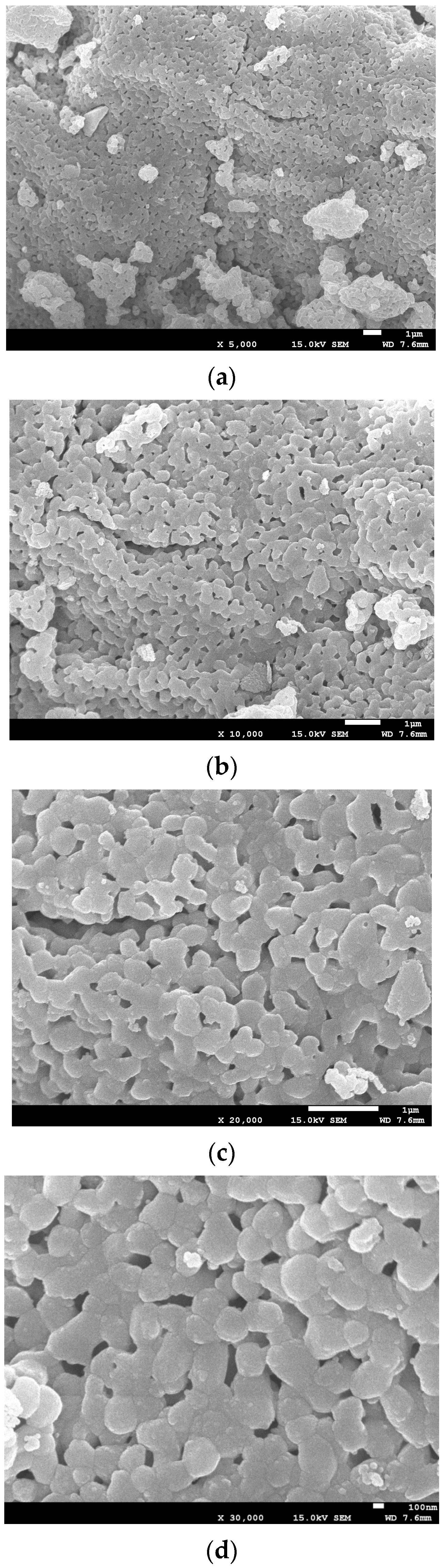 Processes 12 01926 g010