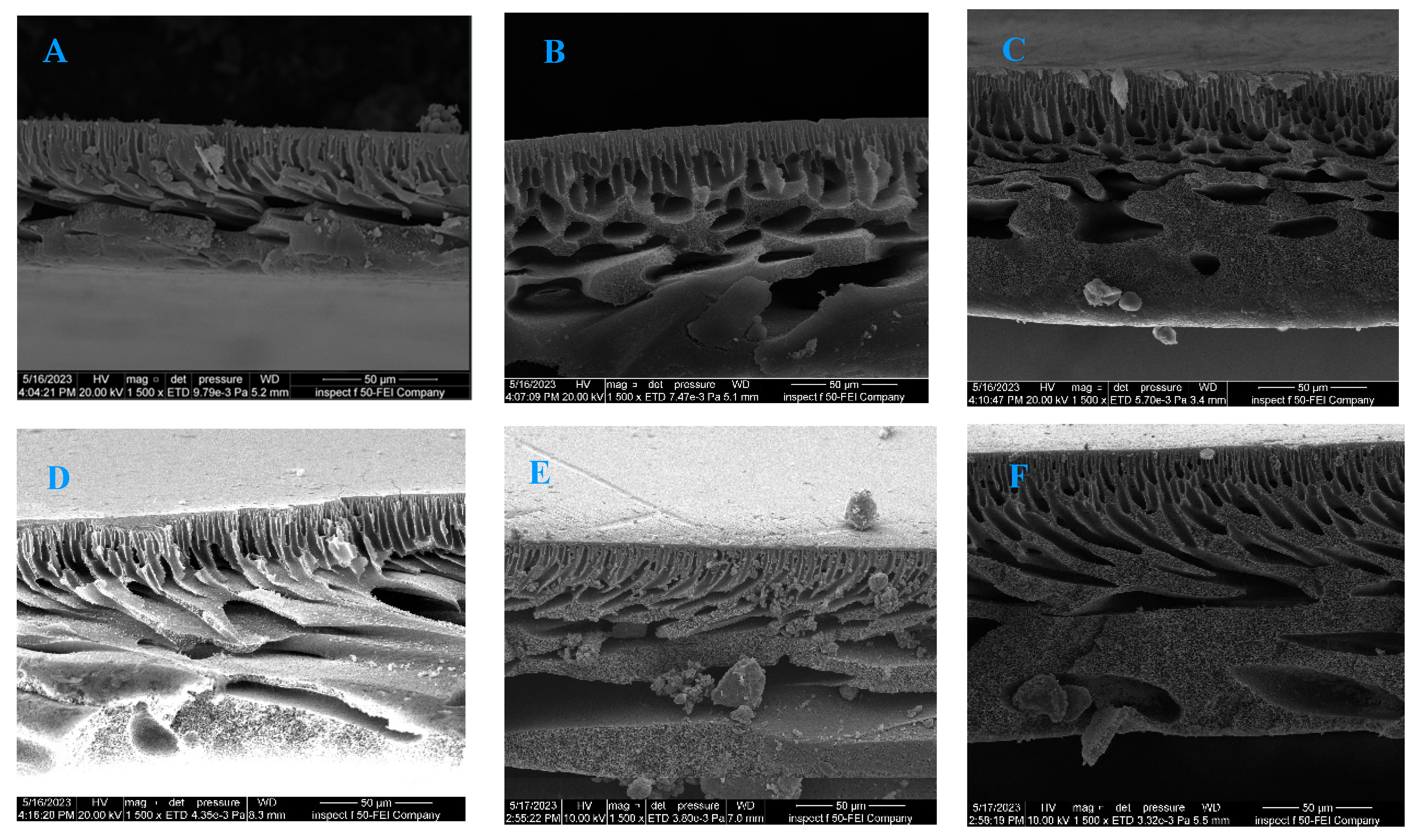 Processes 12 01930 g002